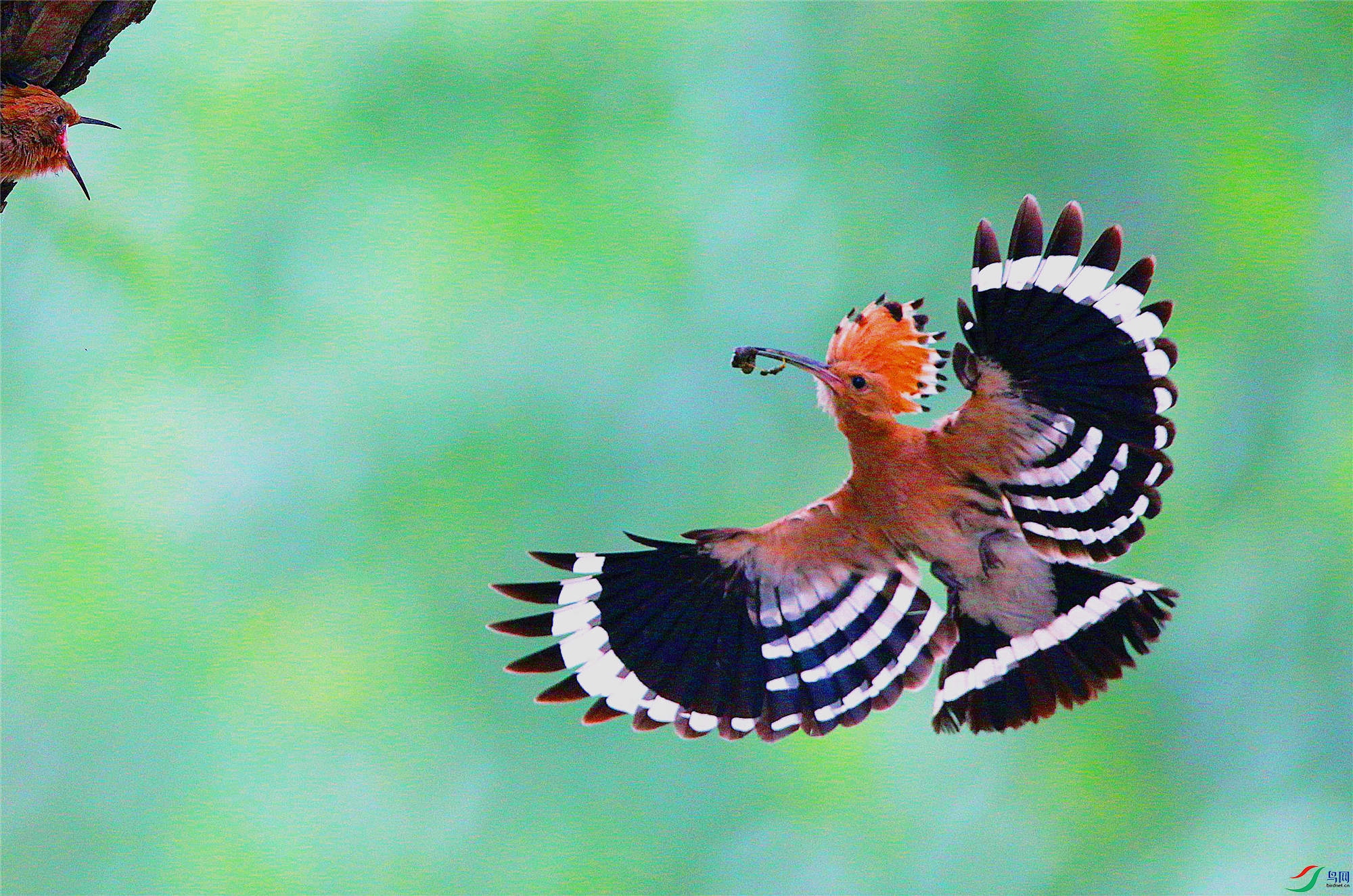 H46R7789_����_����.jpg