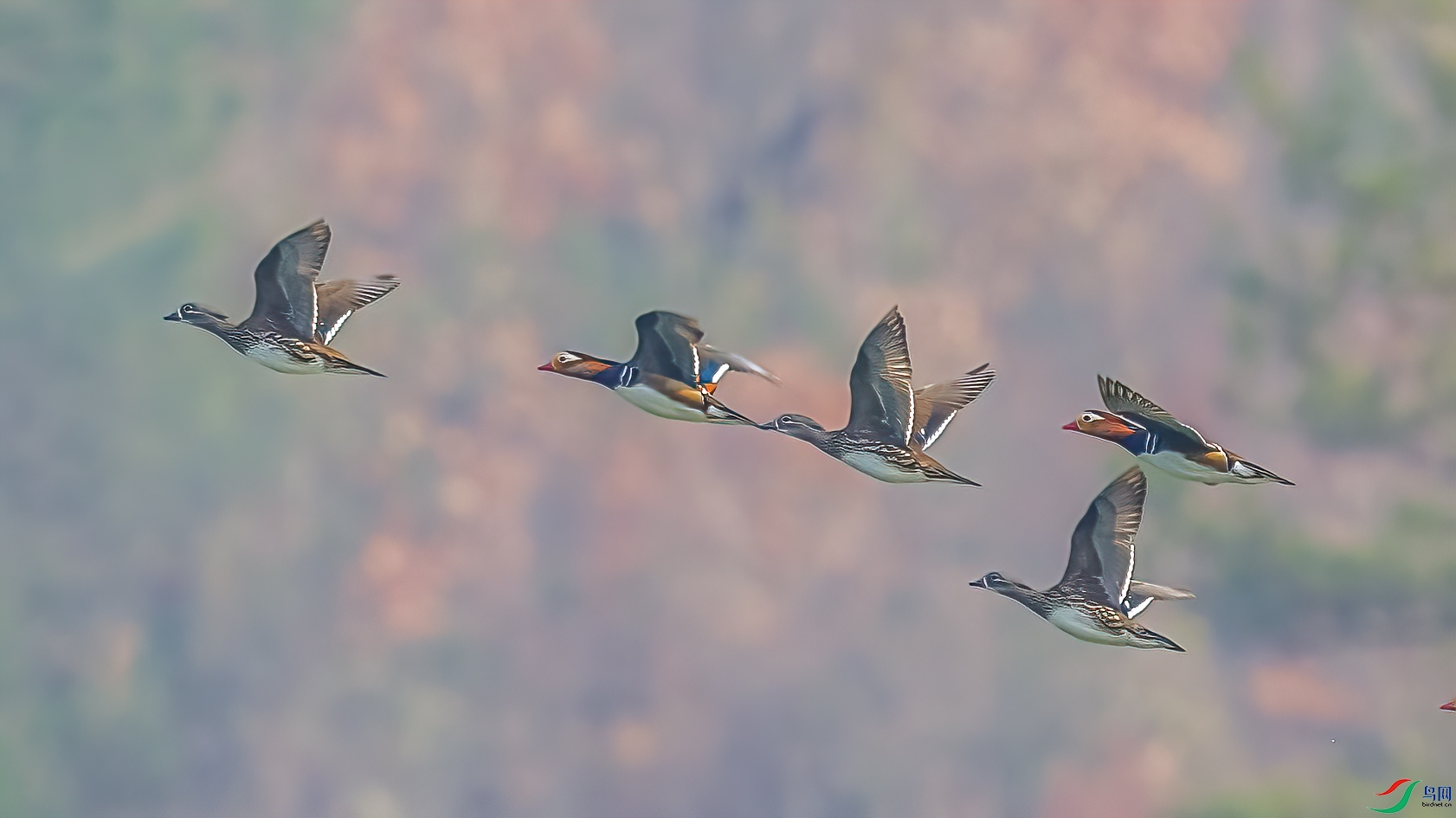 C09R9857 ����2.jpg