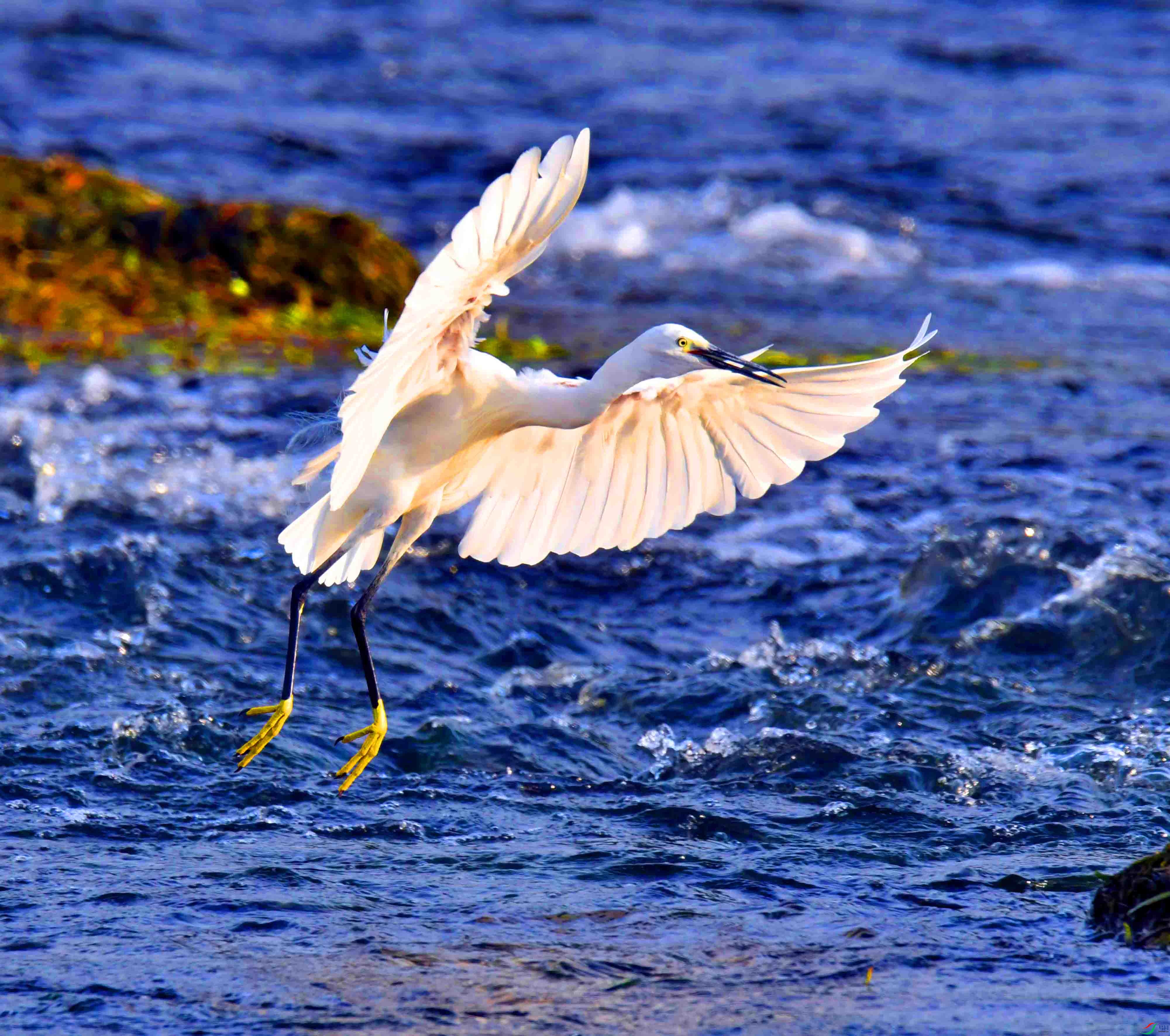 DSC_8833.JPG