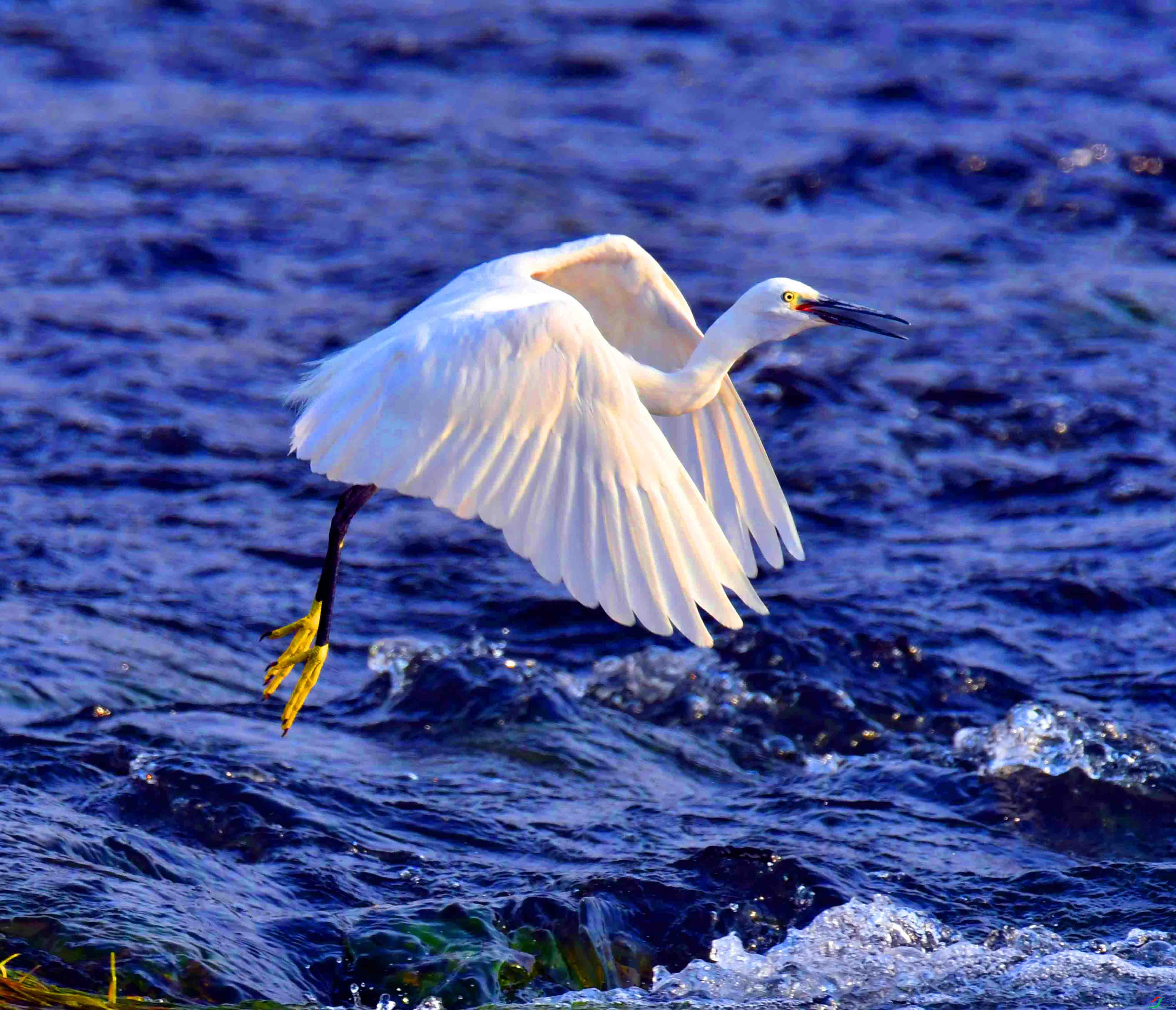 DSC_8831.JPG