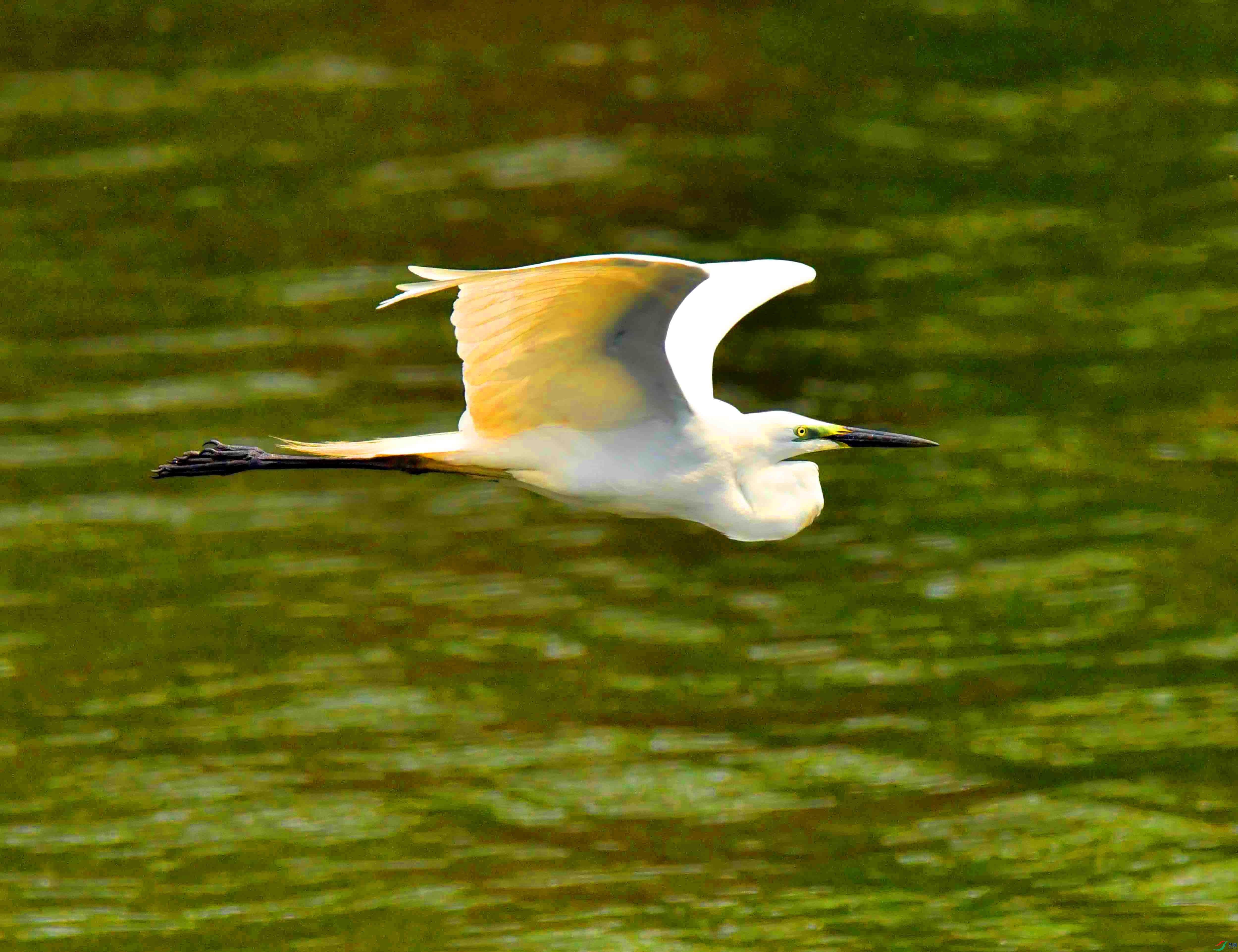DSC_8846.JPG