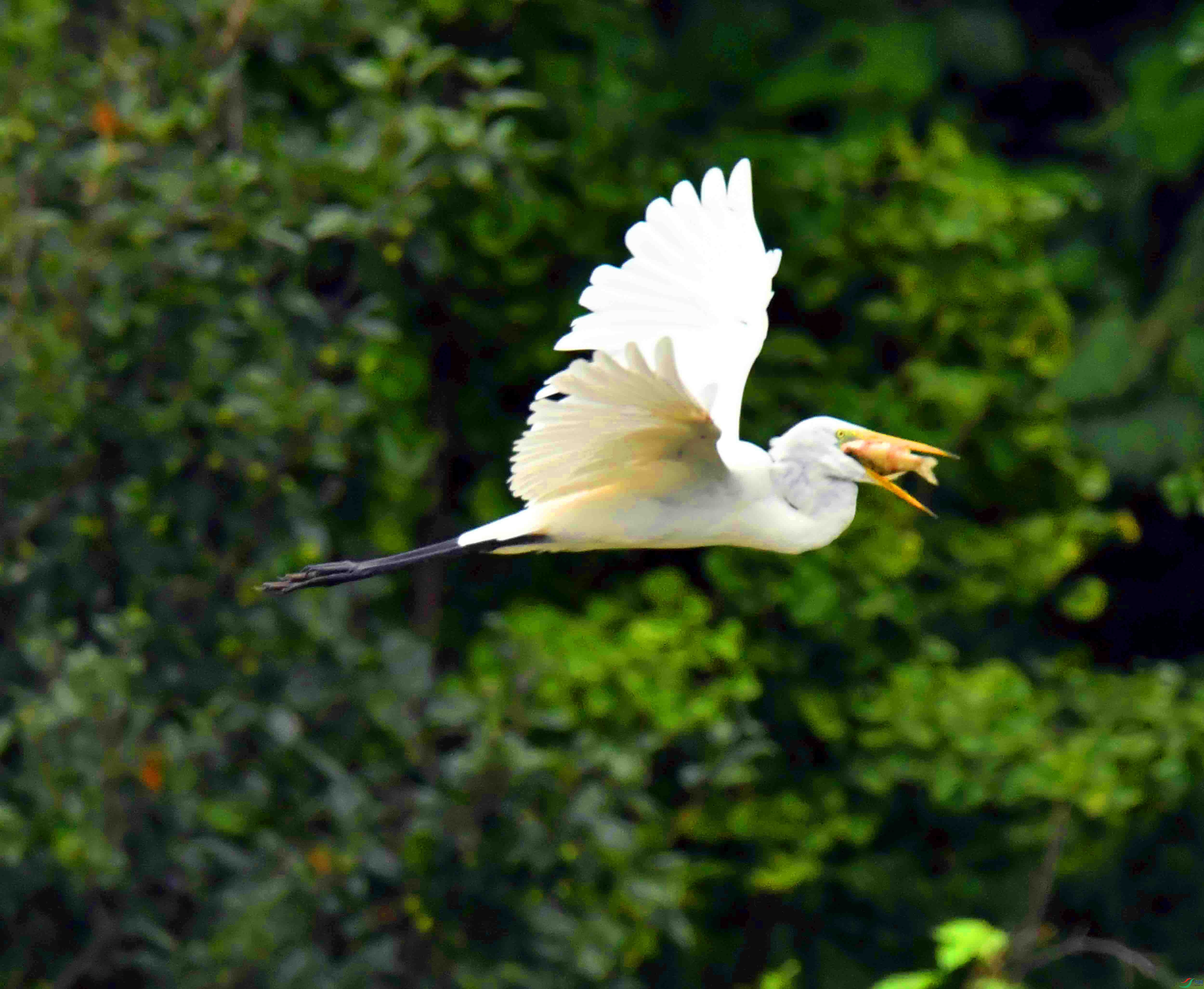 DSC_8908.JPG