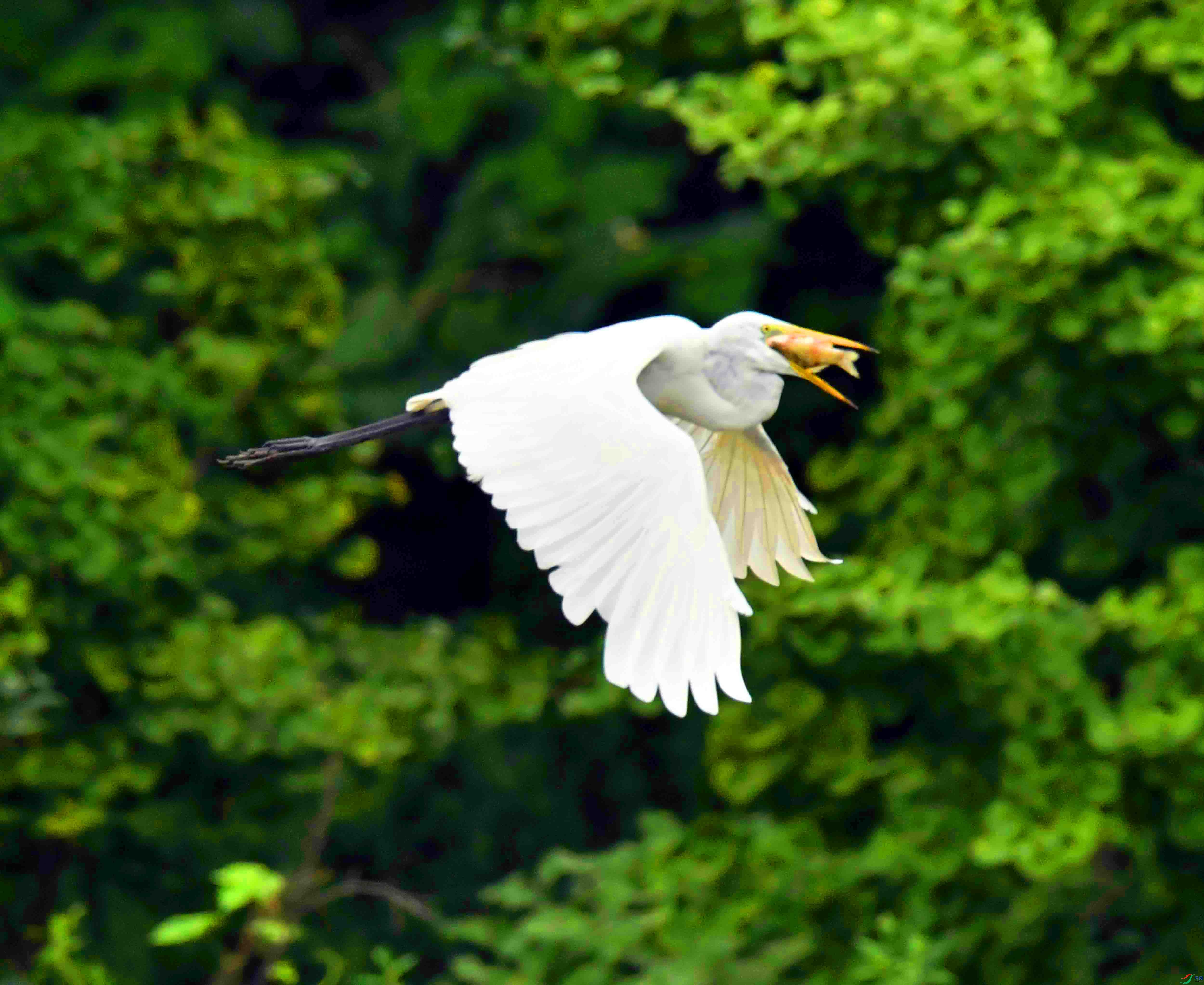 DSC_8909.JPG