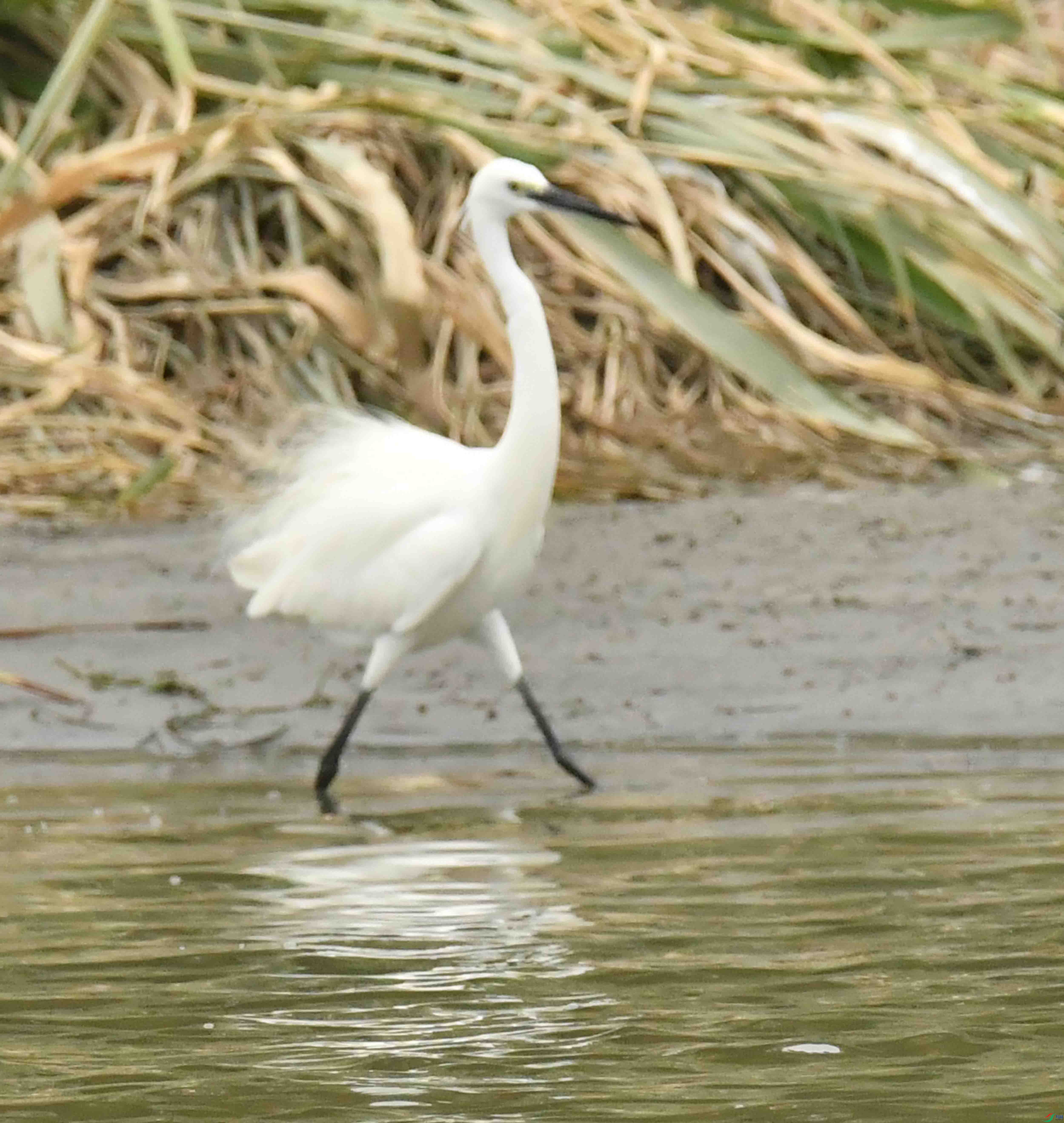 DSC_9192.JPG
