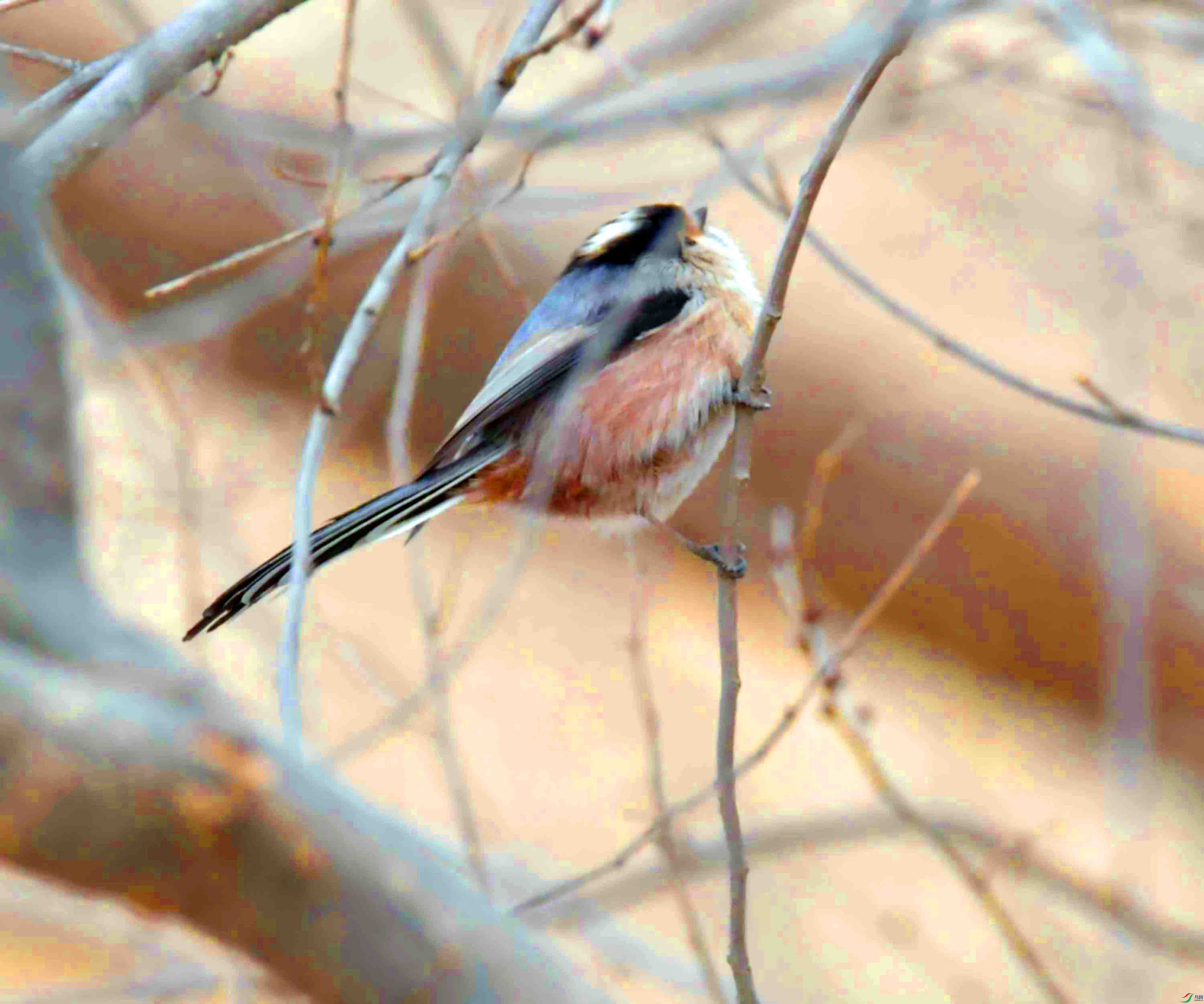 DSC_9105.JPG