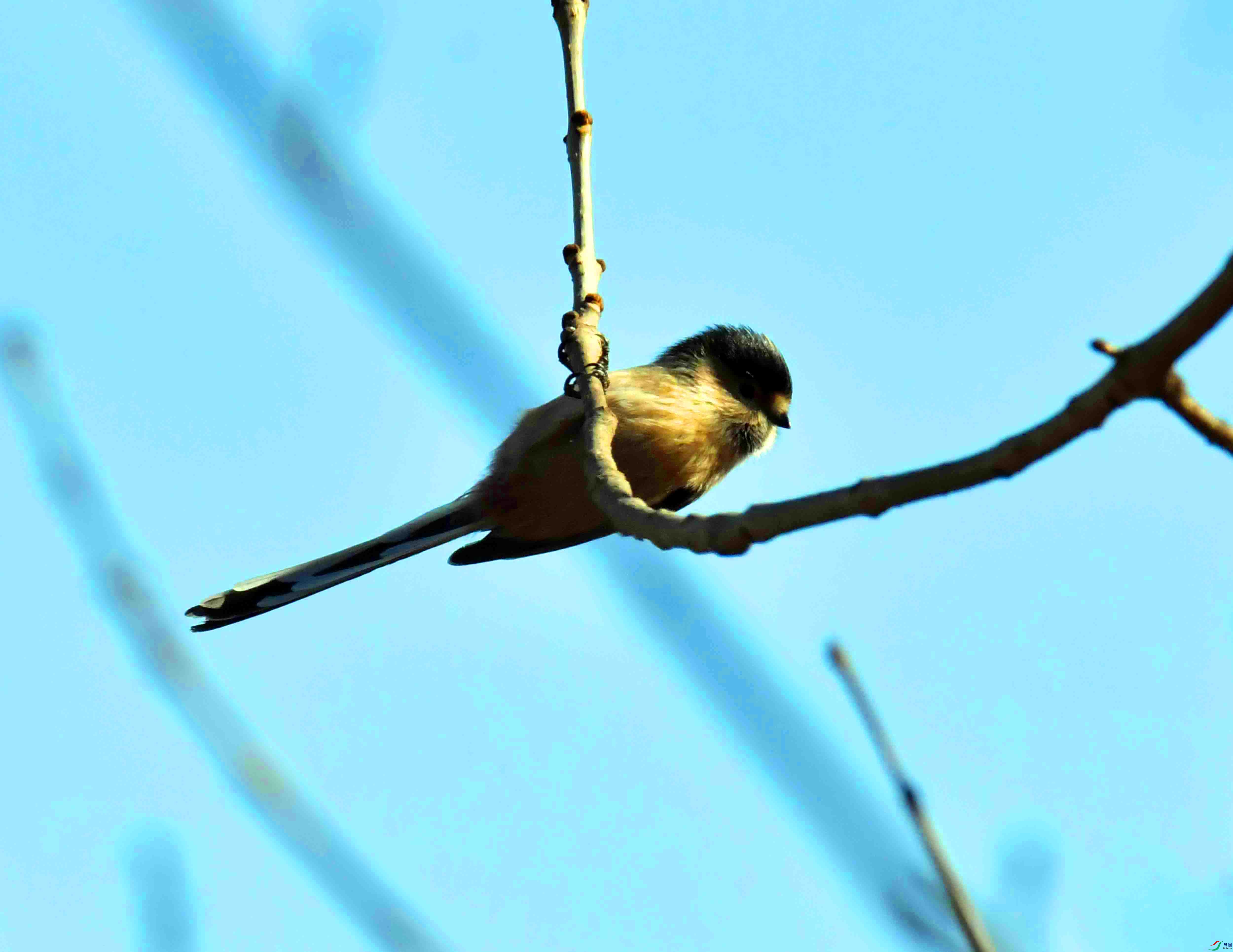 DSC_9547.JPG