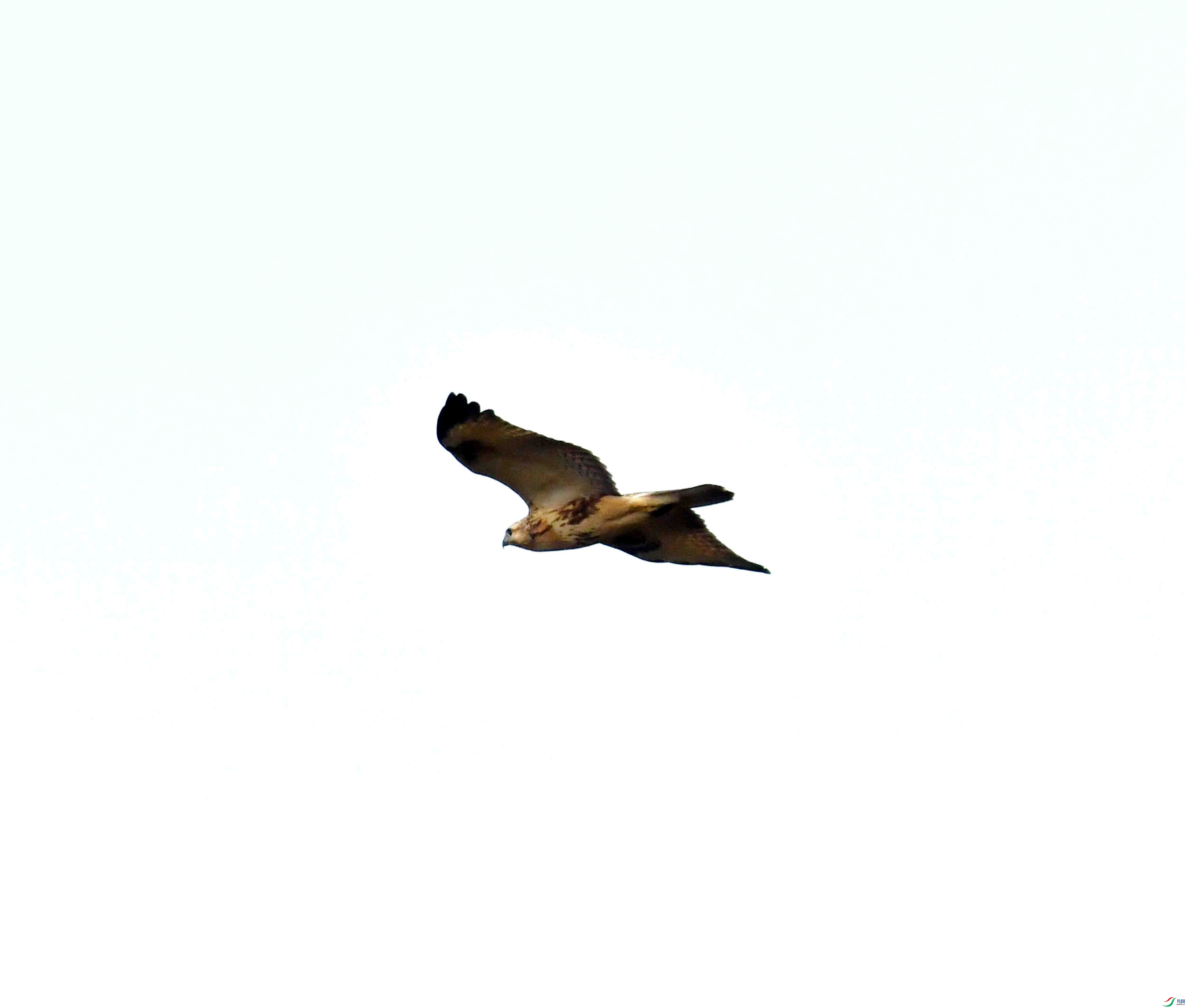DSC_9797.JPG