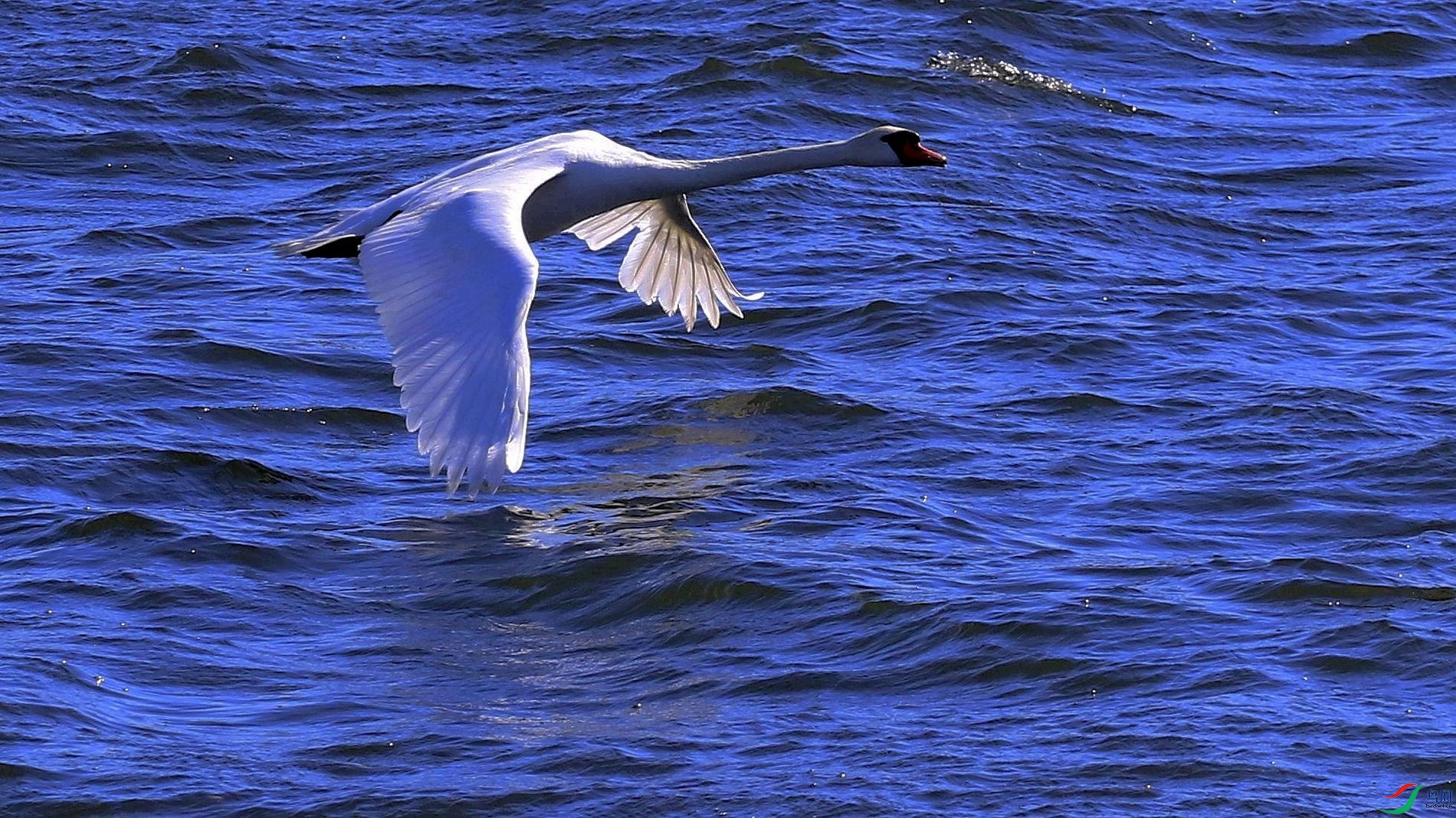 ������ 04.jpg