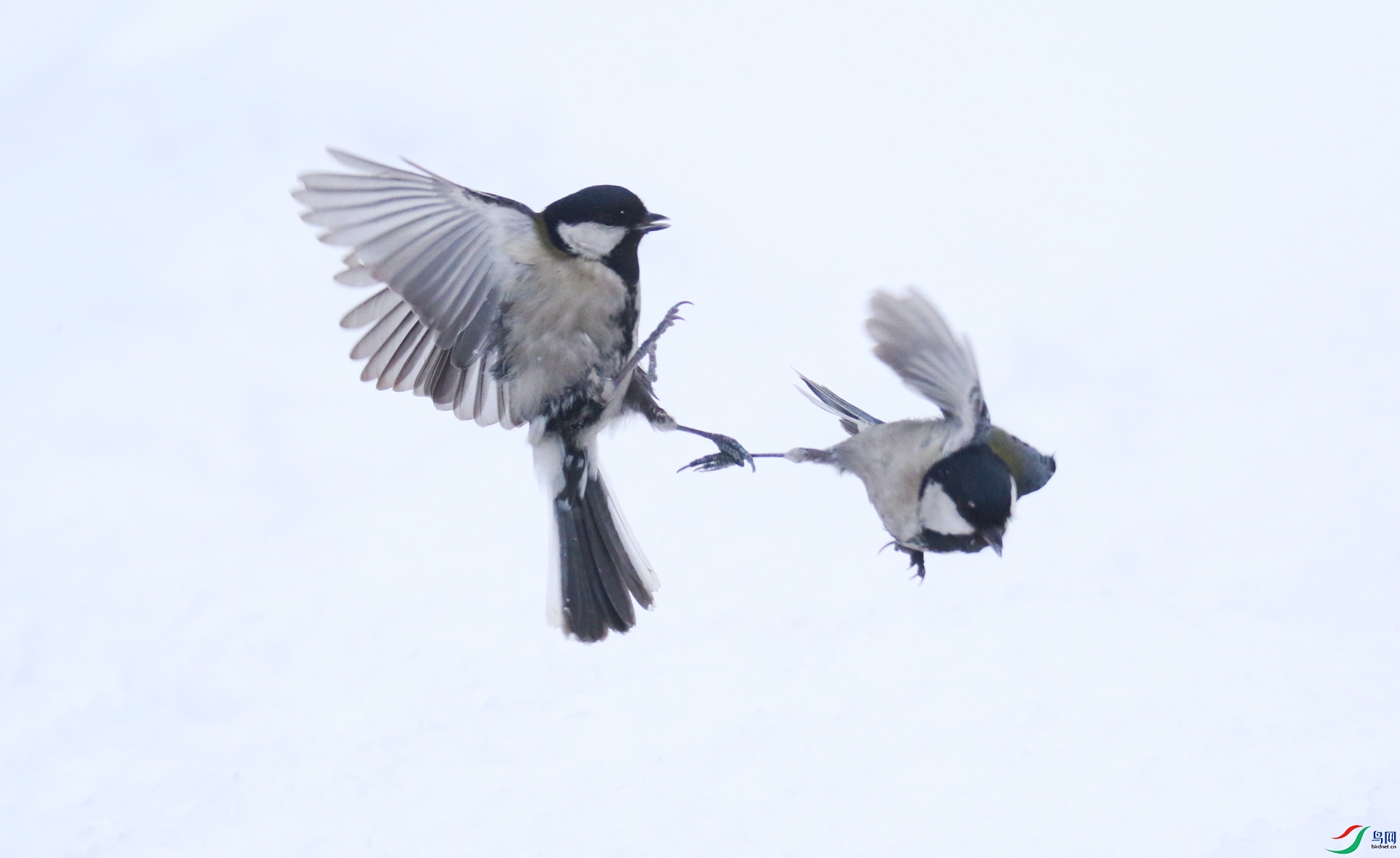 0G1A6664 ����.jpg