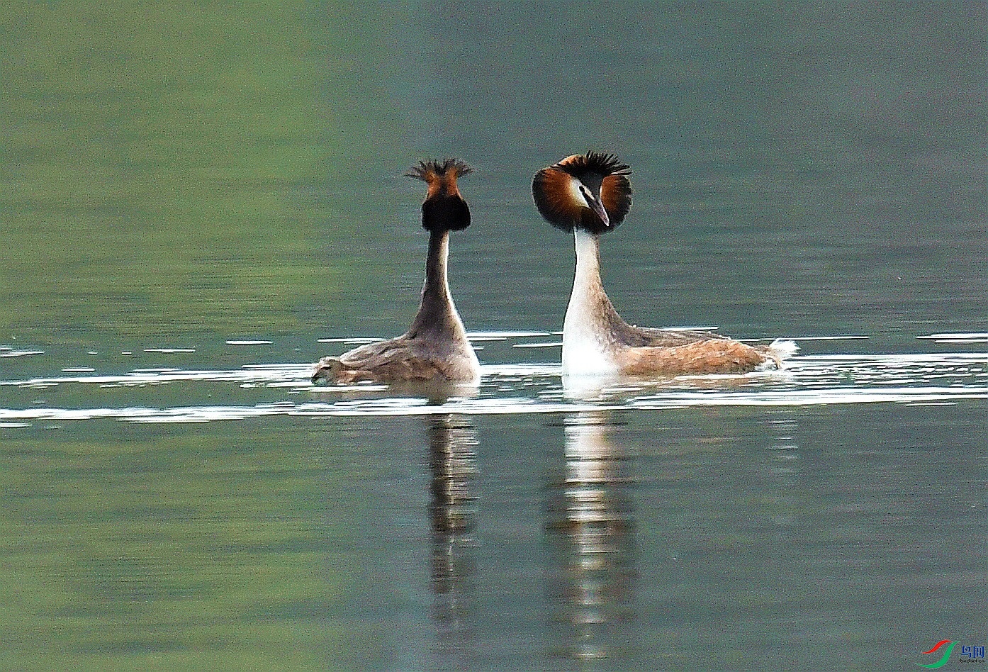 DSC_3571_����.jpg