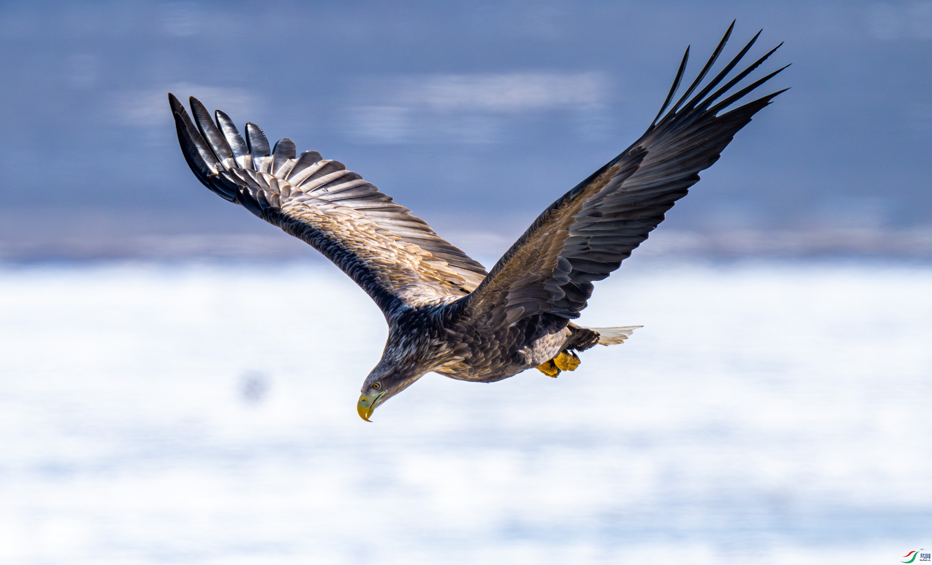 ��β����