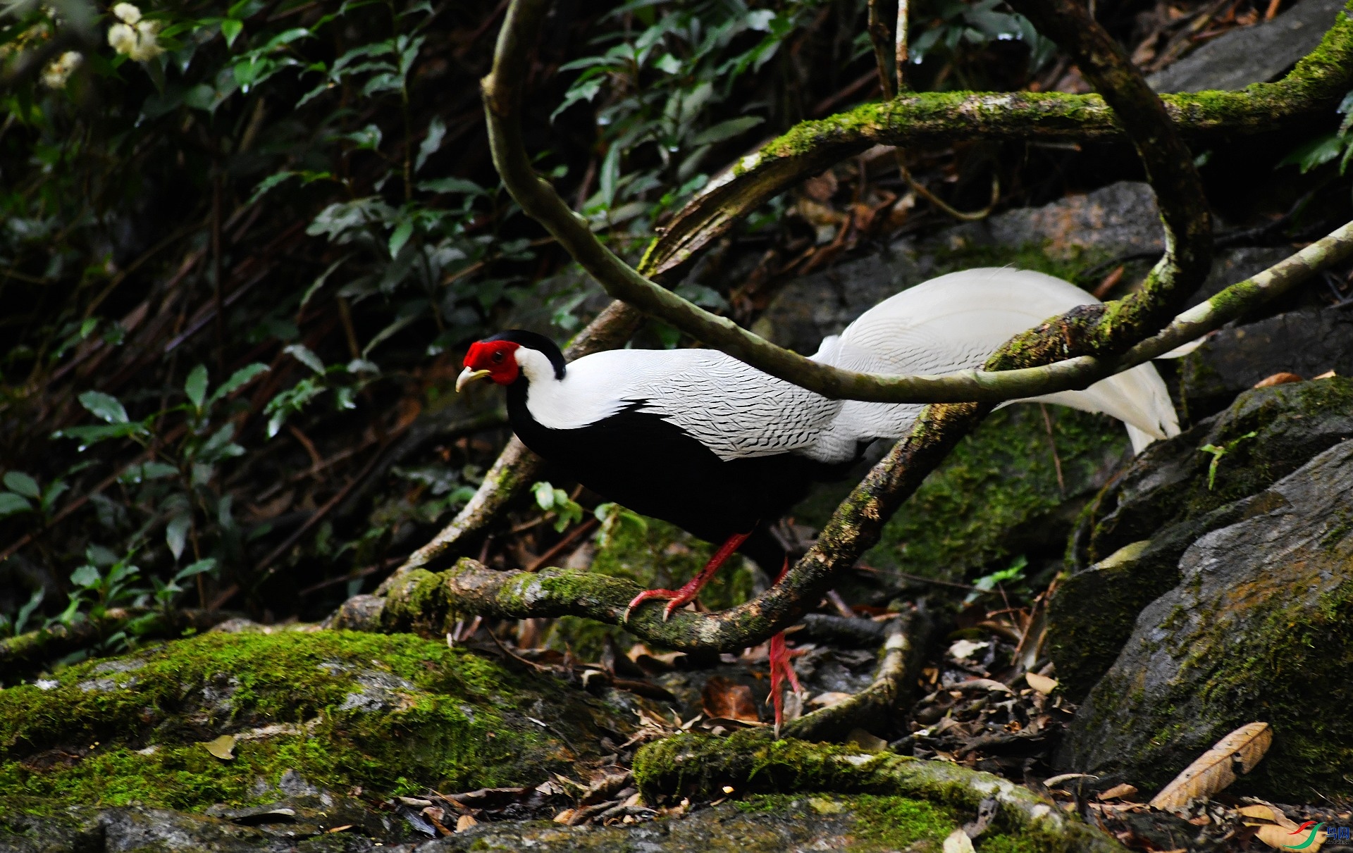 DSC_4470.jpg