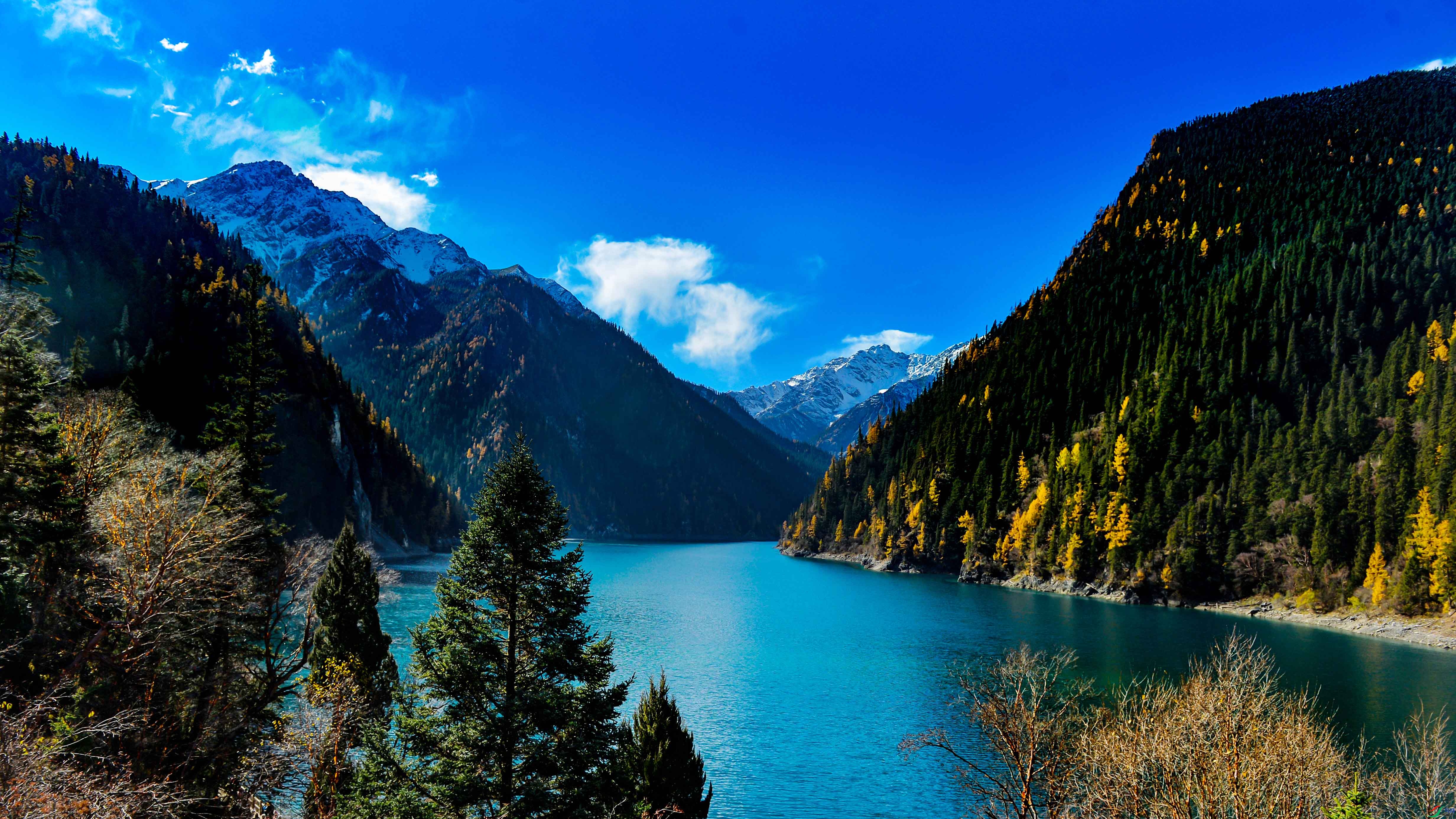 DSC_4107.jpg
