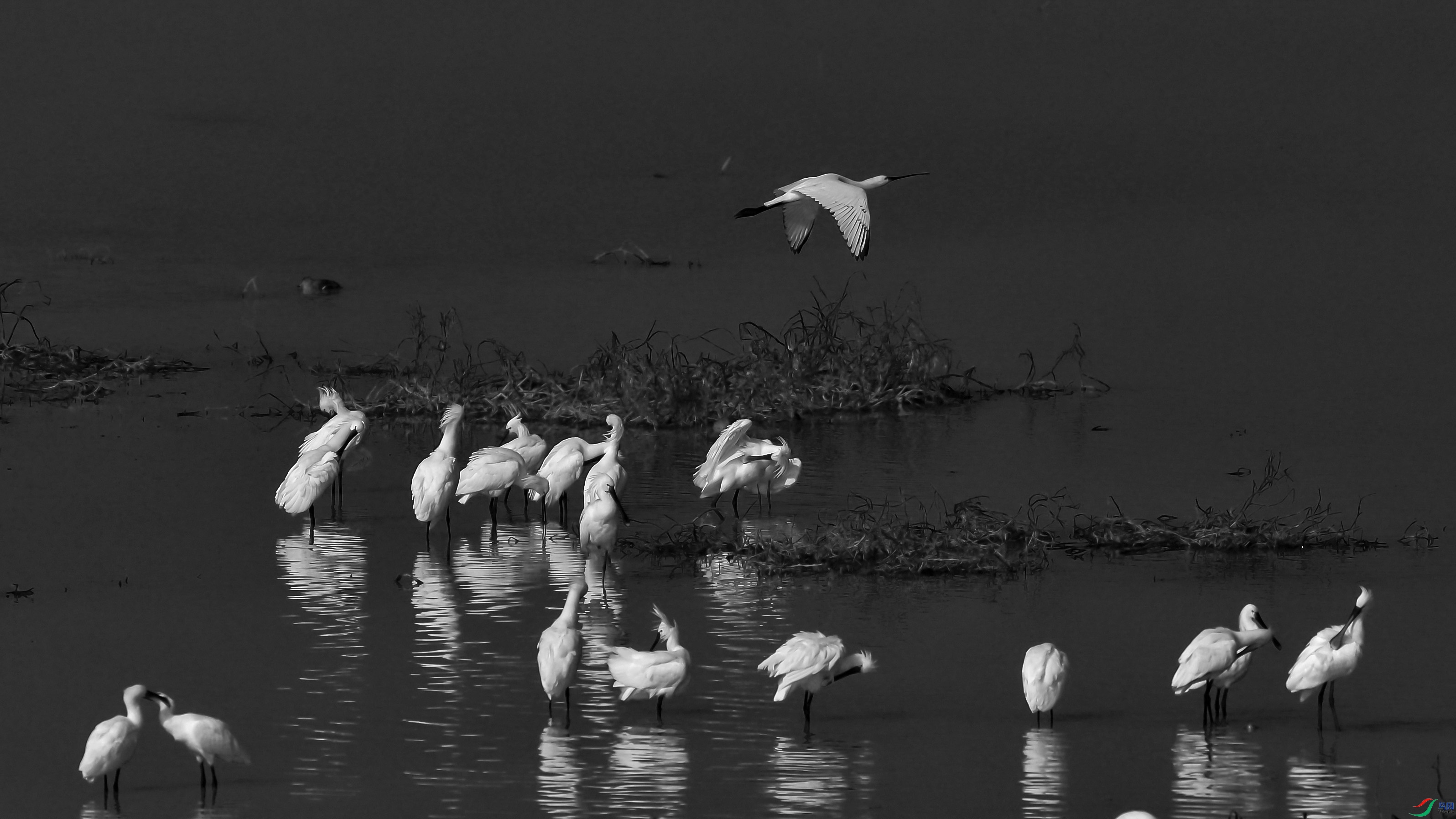 DSC_6267.jpg