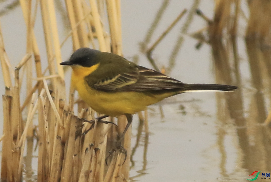 ���� (10)����.jpg