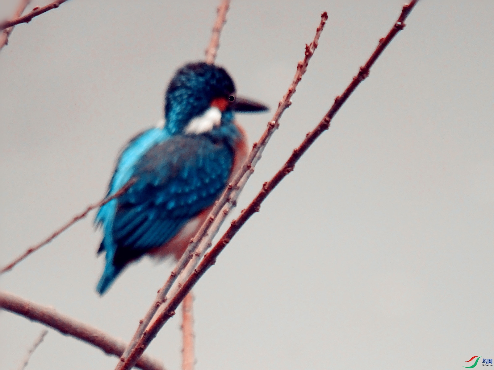 DSC07145_����.jpg