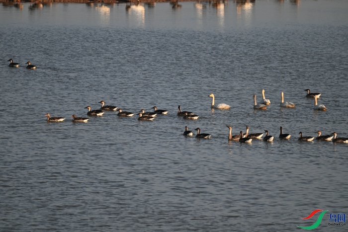 DSC_7399.JPG