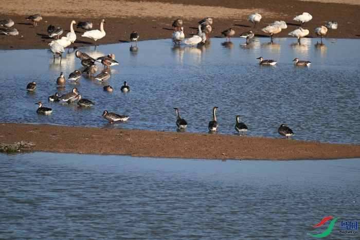 DSC_6955.JPG