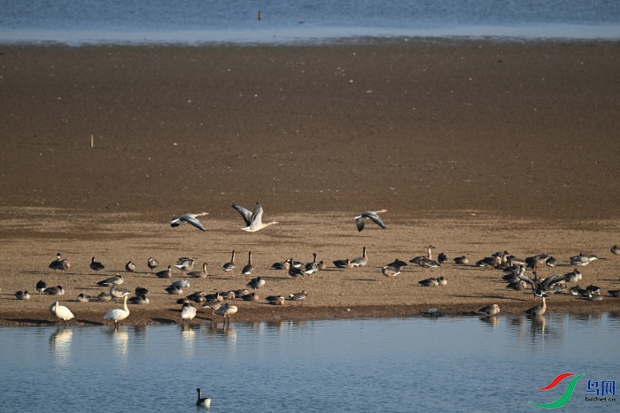 DSC_7196.JPG