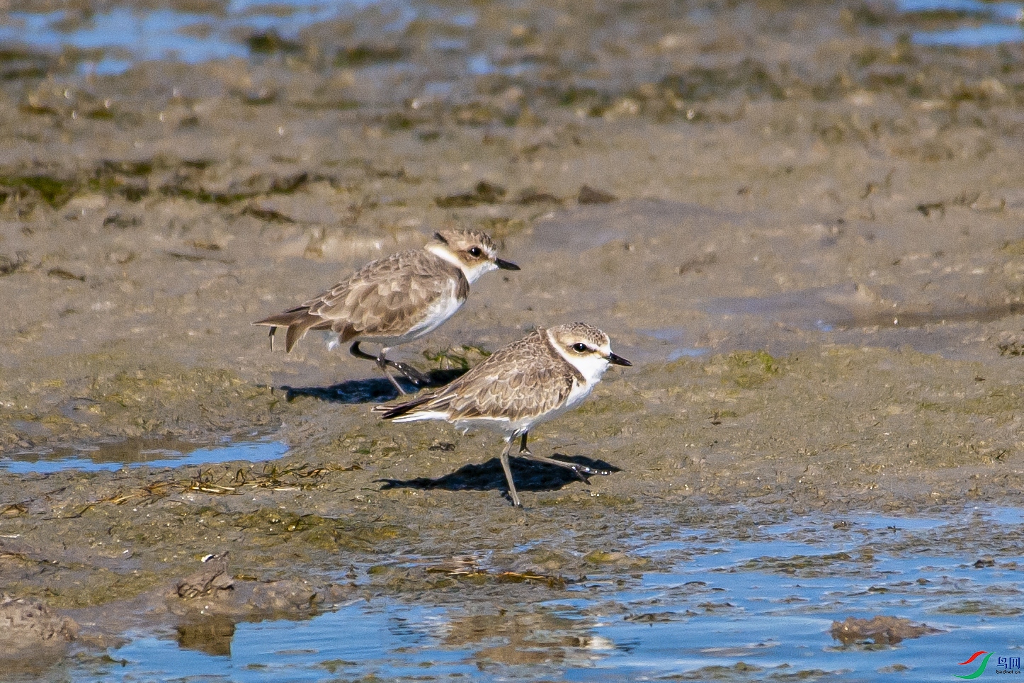 DSC_4745.jpg