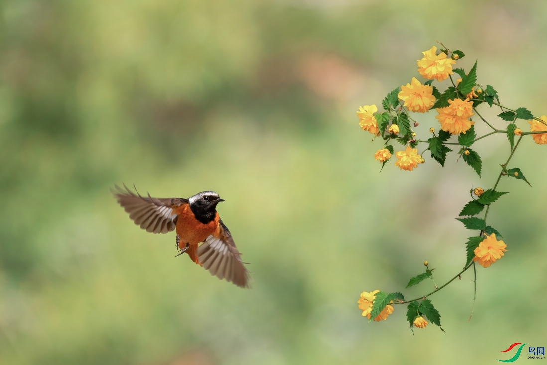 FJ3A0126 ����.jpg