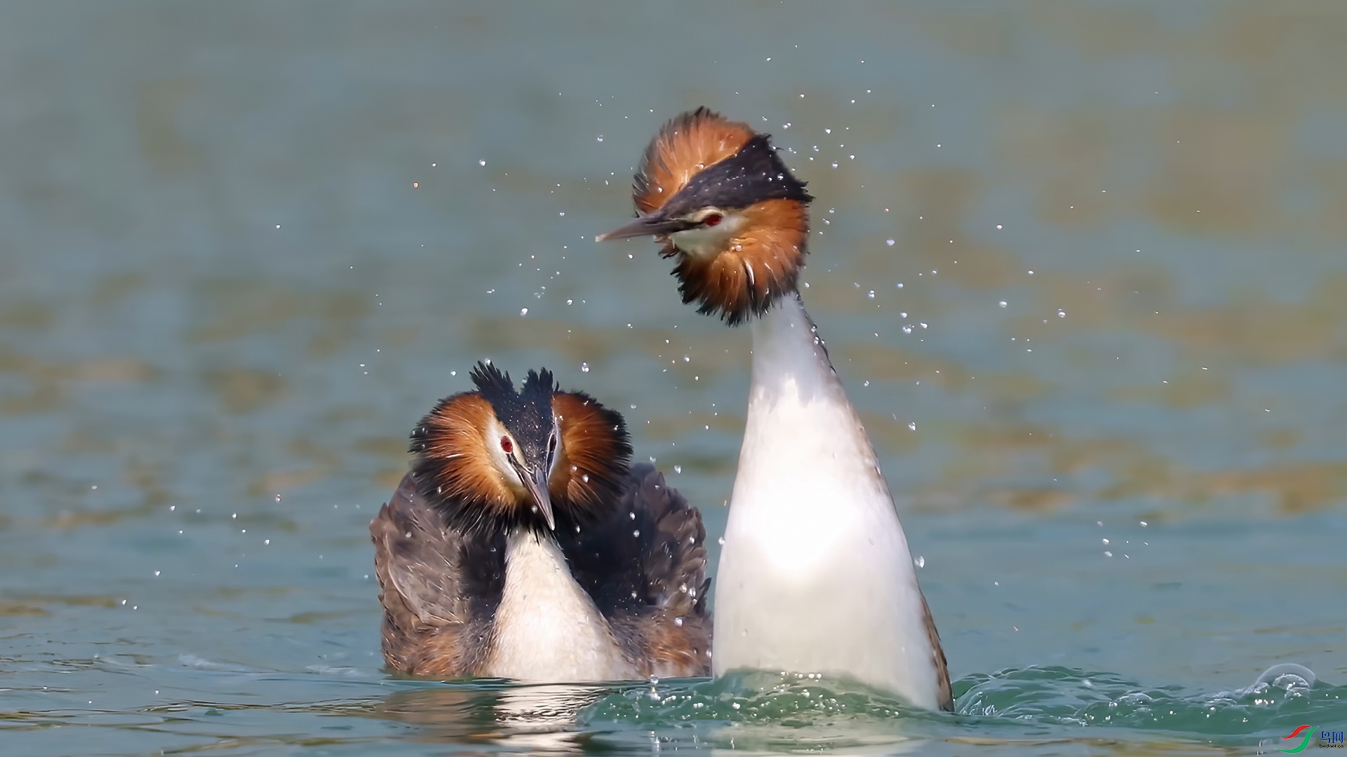 ��֡ 2025-03-15 204904_1.1.jpg