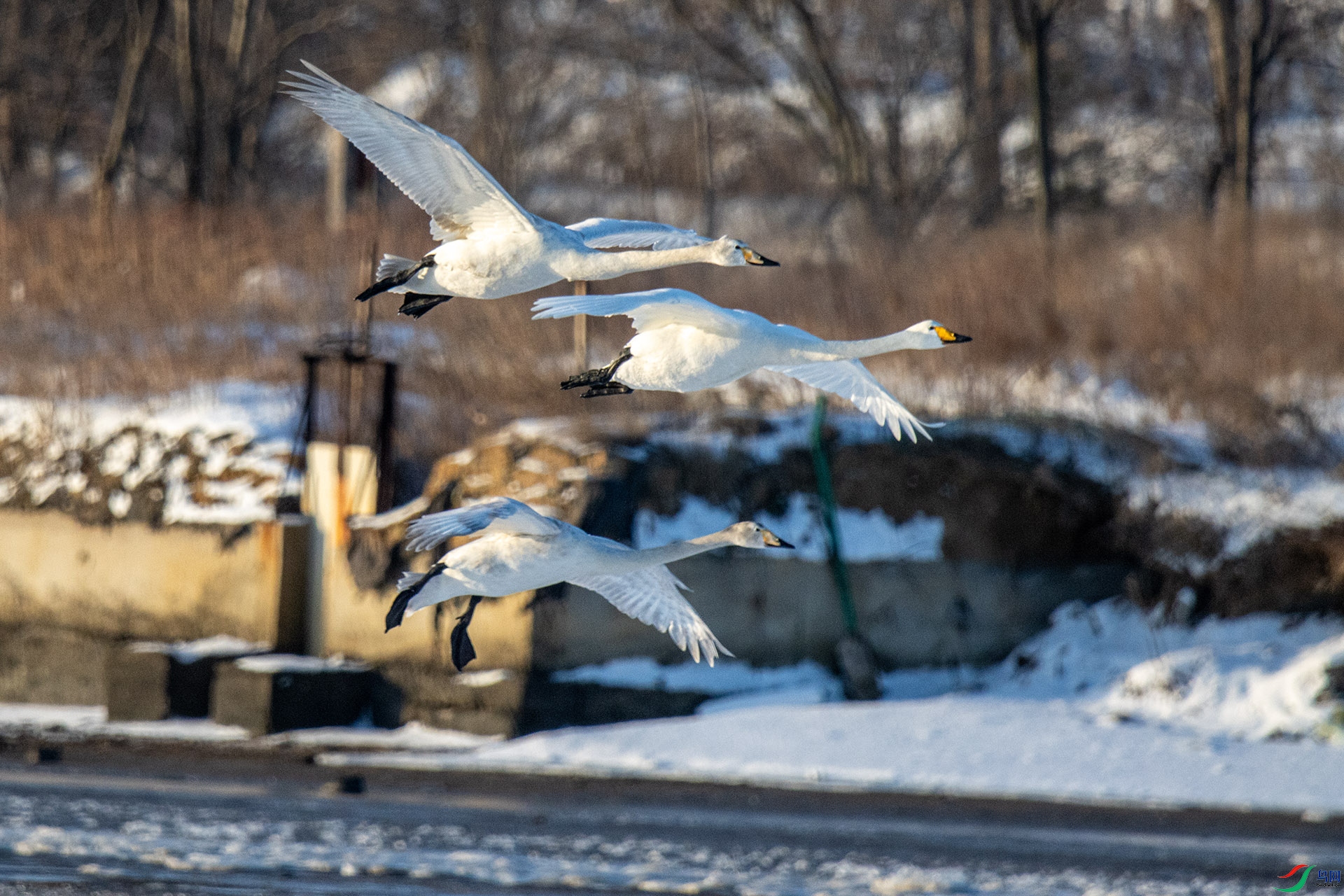 IMG_4548�㶫.jpg