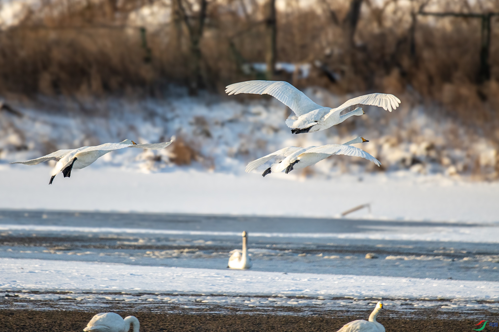 IMG_4544�㶫.jpg