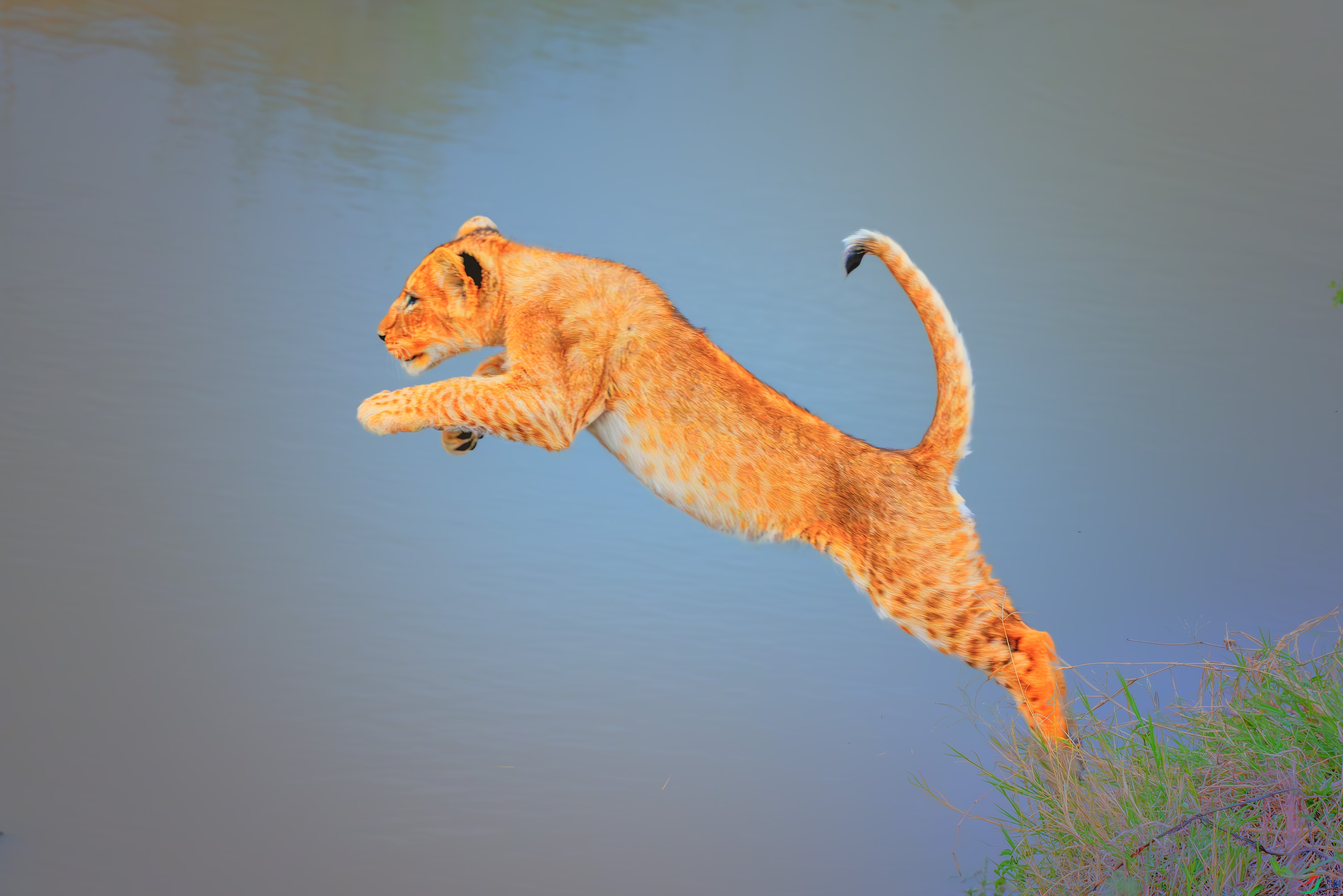 _DSC3598-����ǿ-NR ����1.jpg