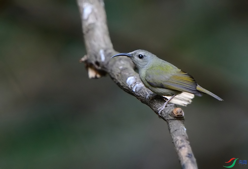 D3S_2494.jpg