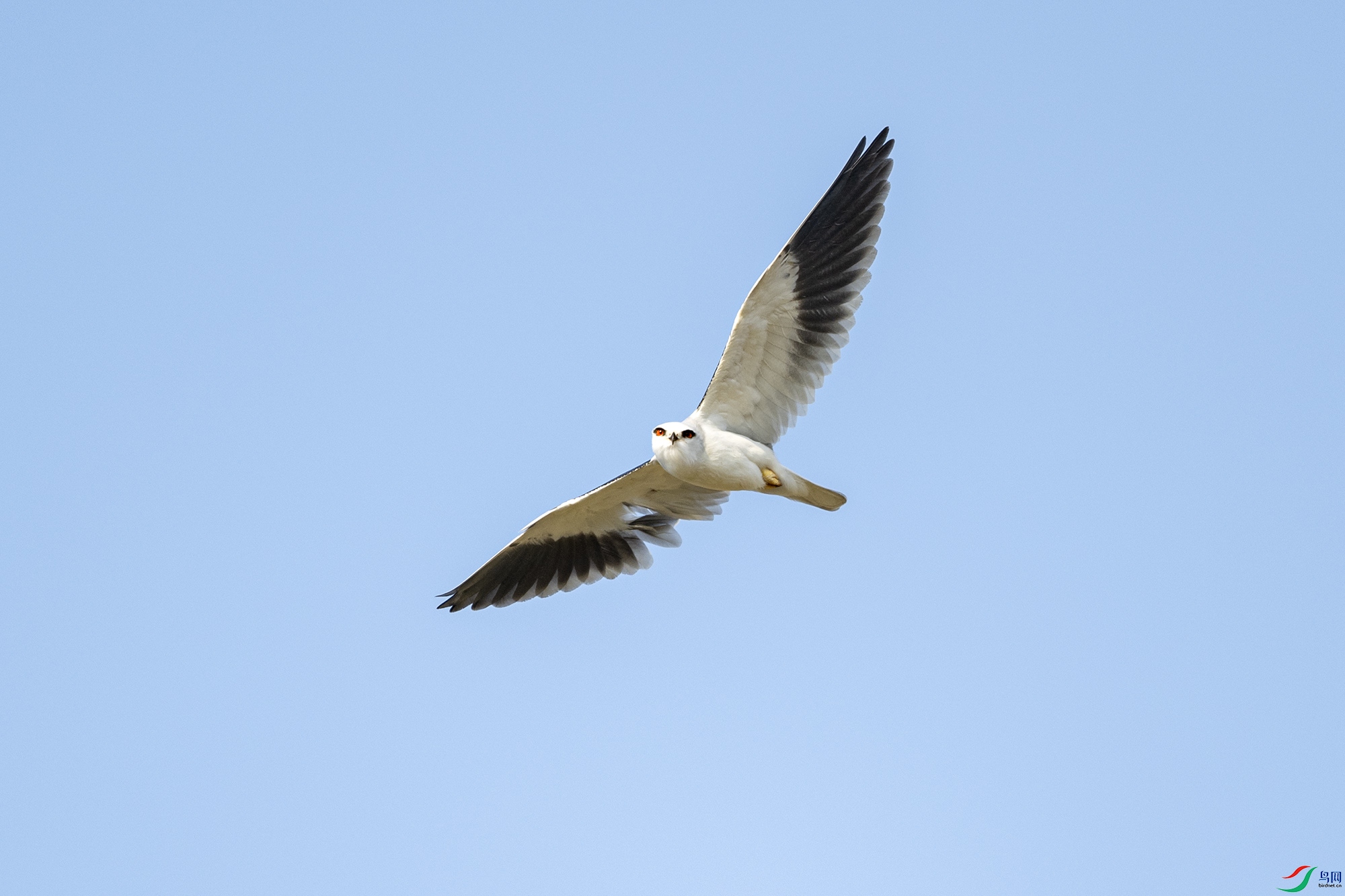DSC_0366.jpg