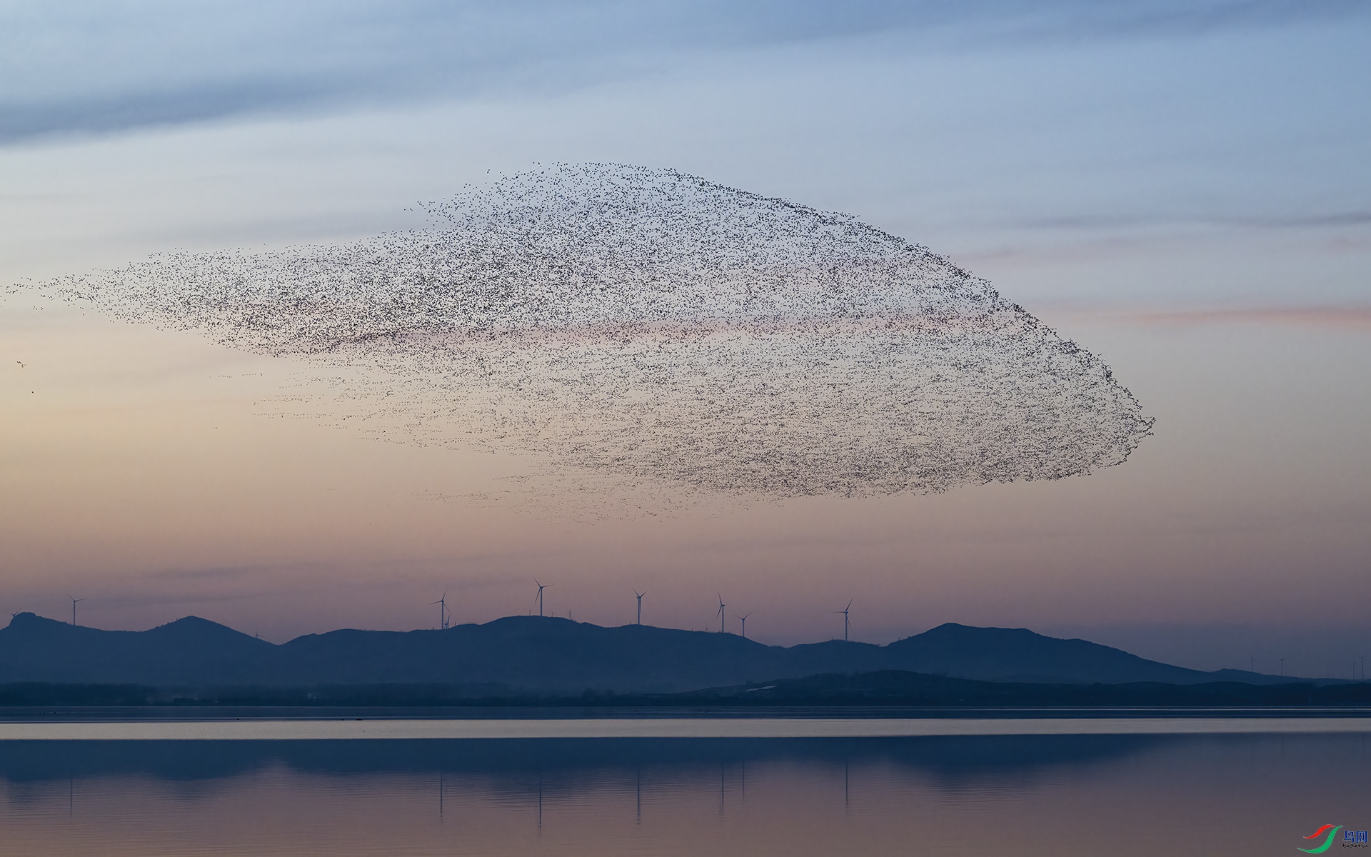 _DSC7271 ���� 1920.jpg