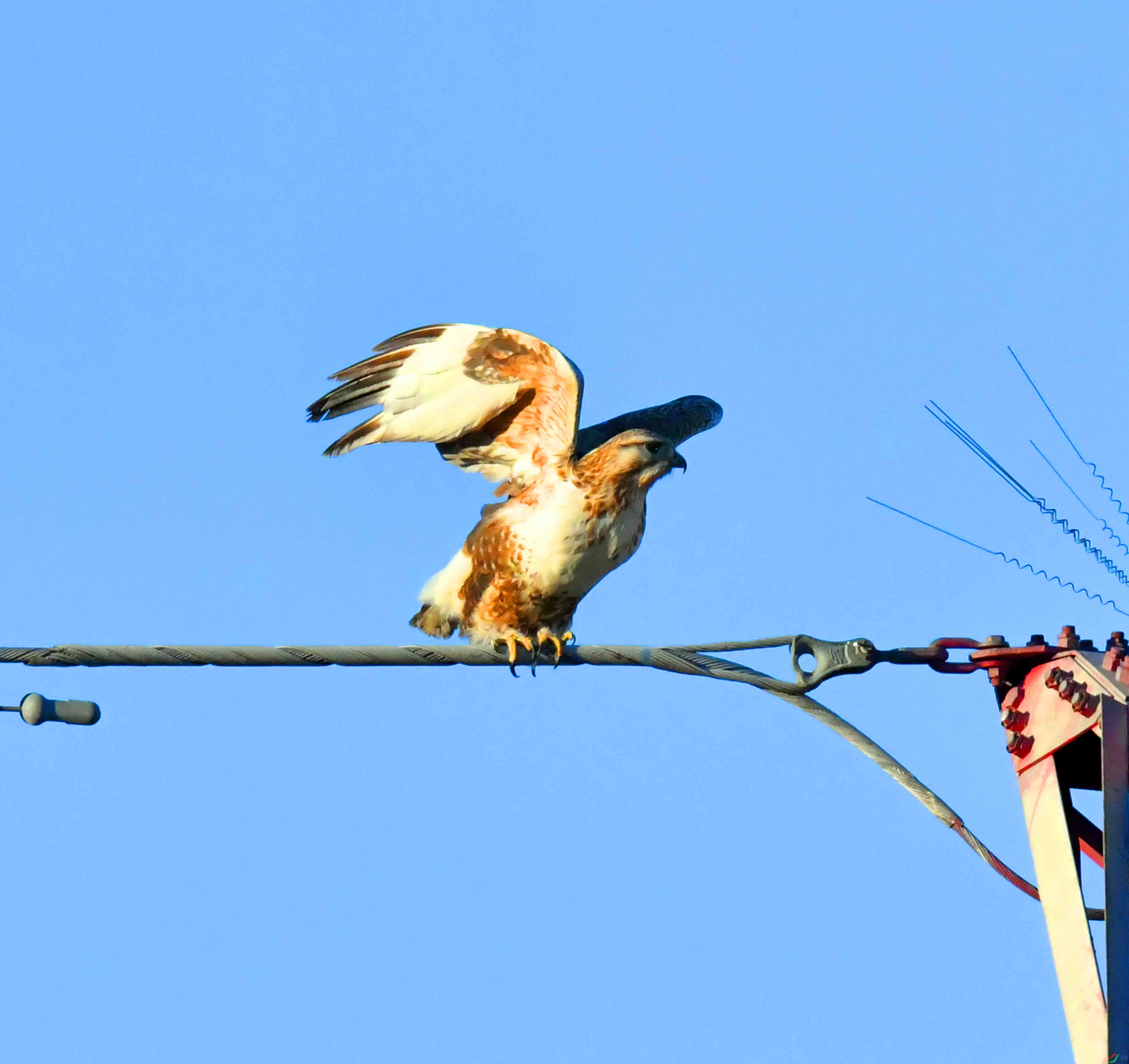 DSC_0293.JPG