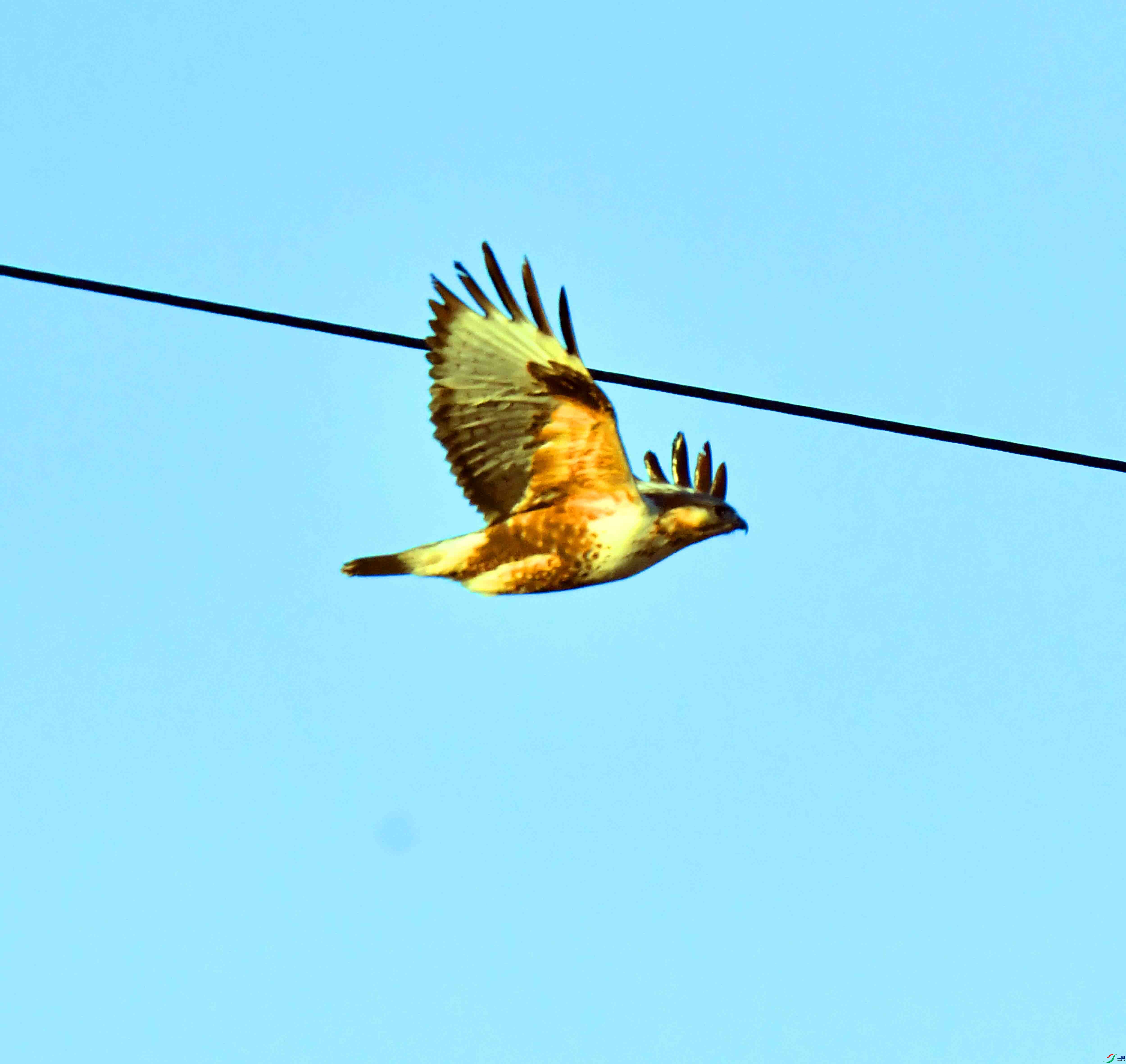 DSC_0296.JPG