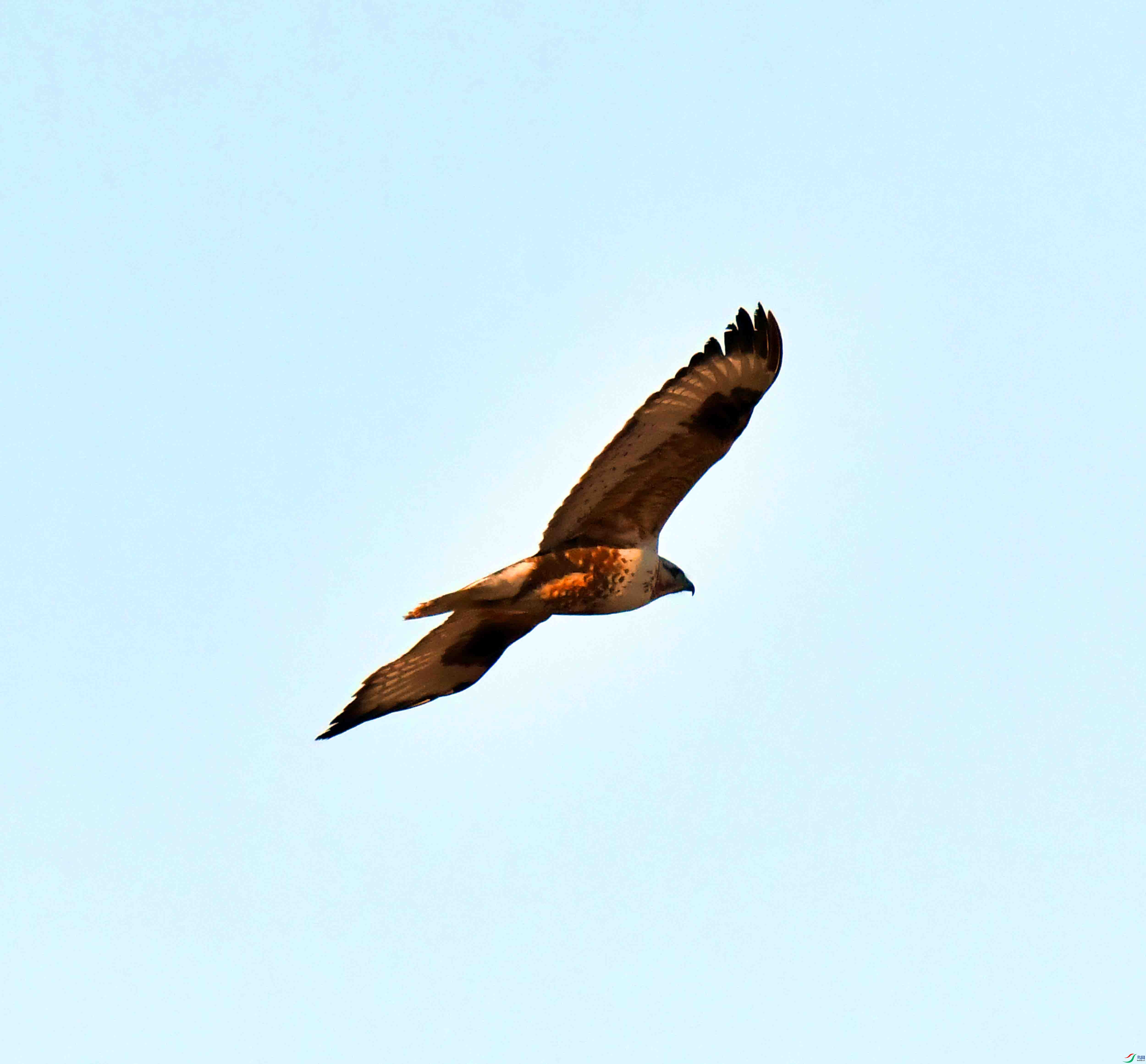 DSC_0313.JPG