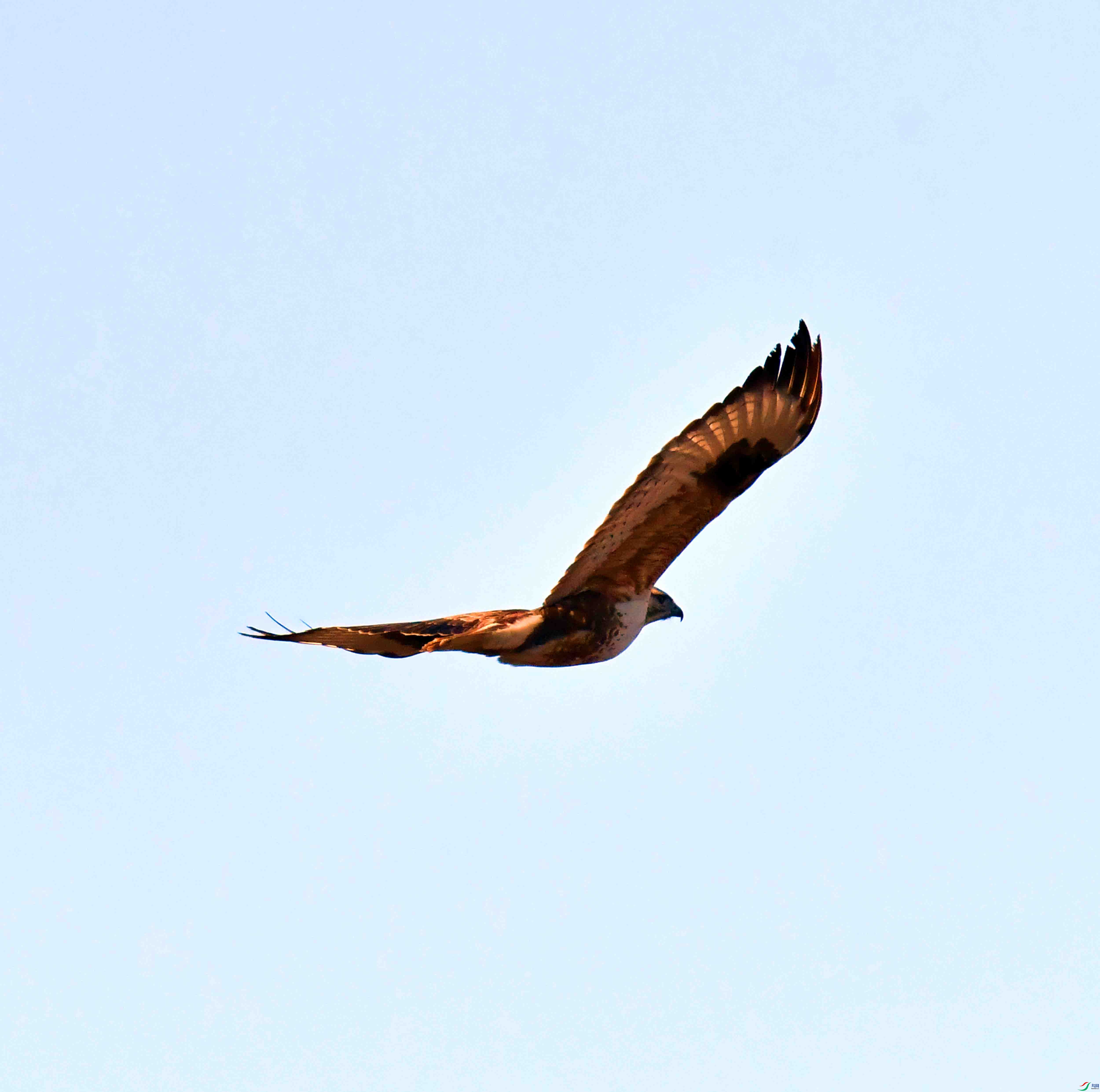 DSC_0304.JPG