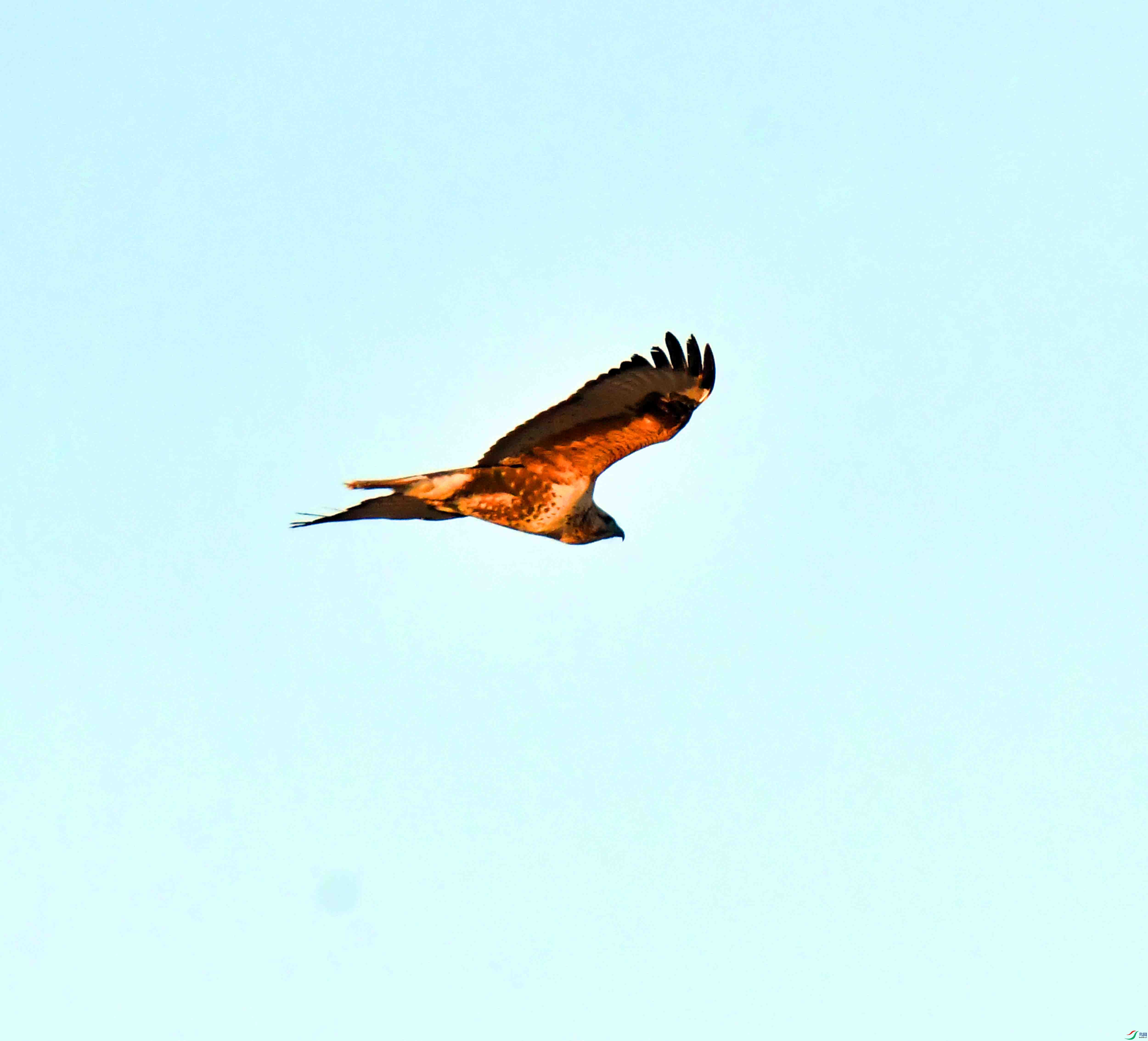 DSC_0314.JPG
