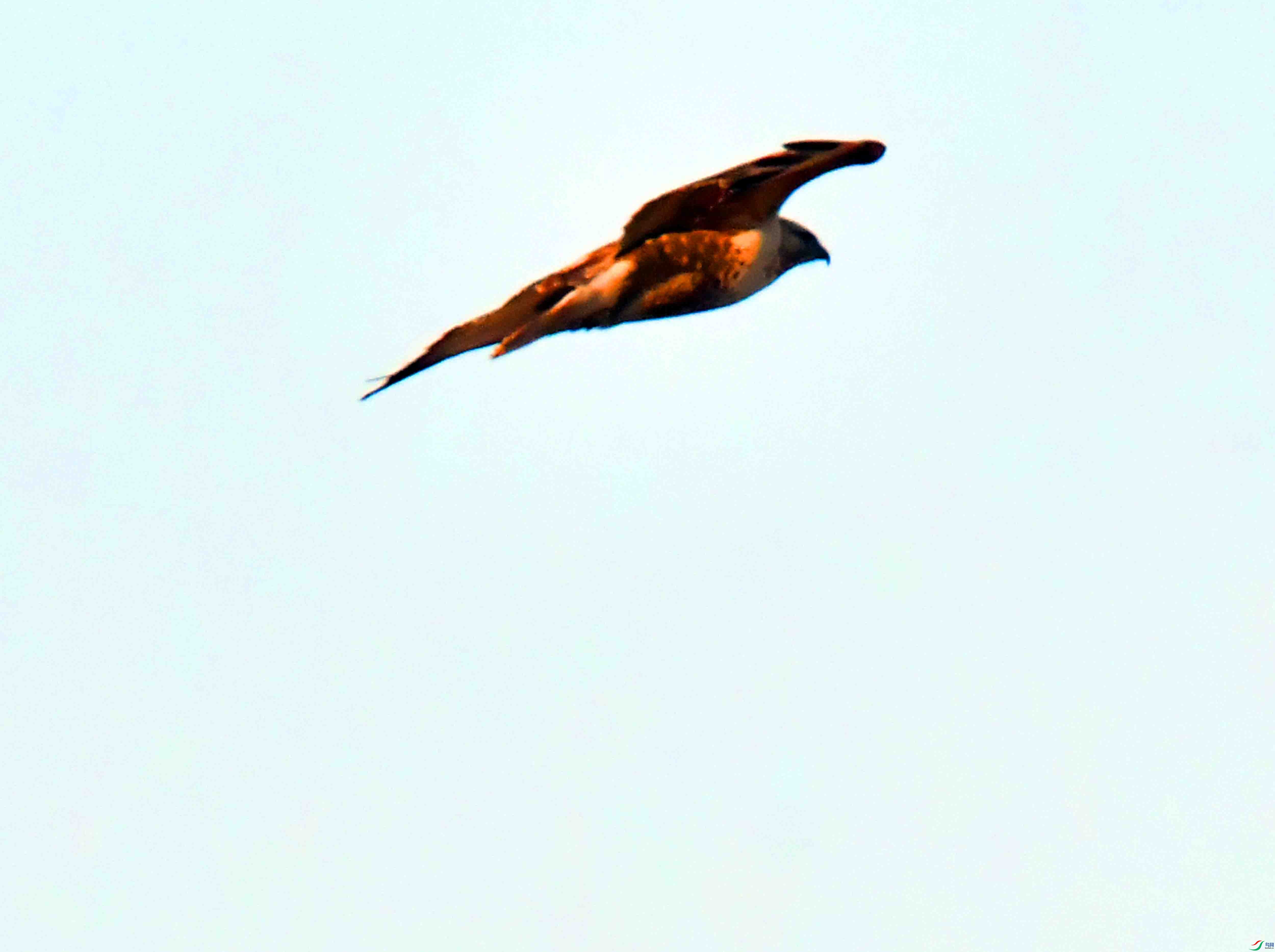 DSC_0316.JPG