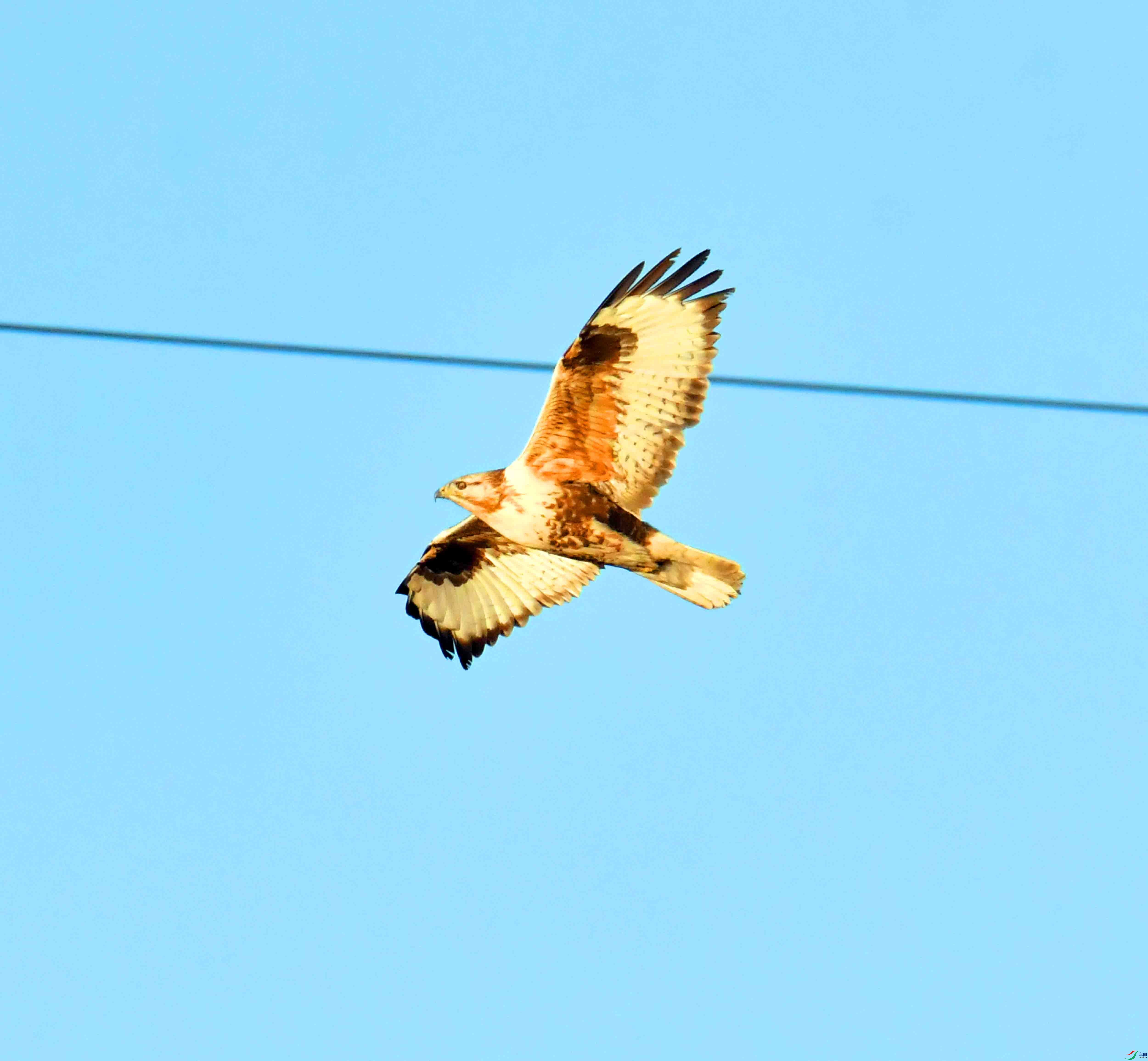 DSC_0333.JPG