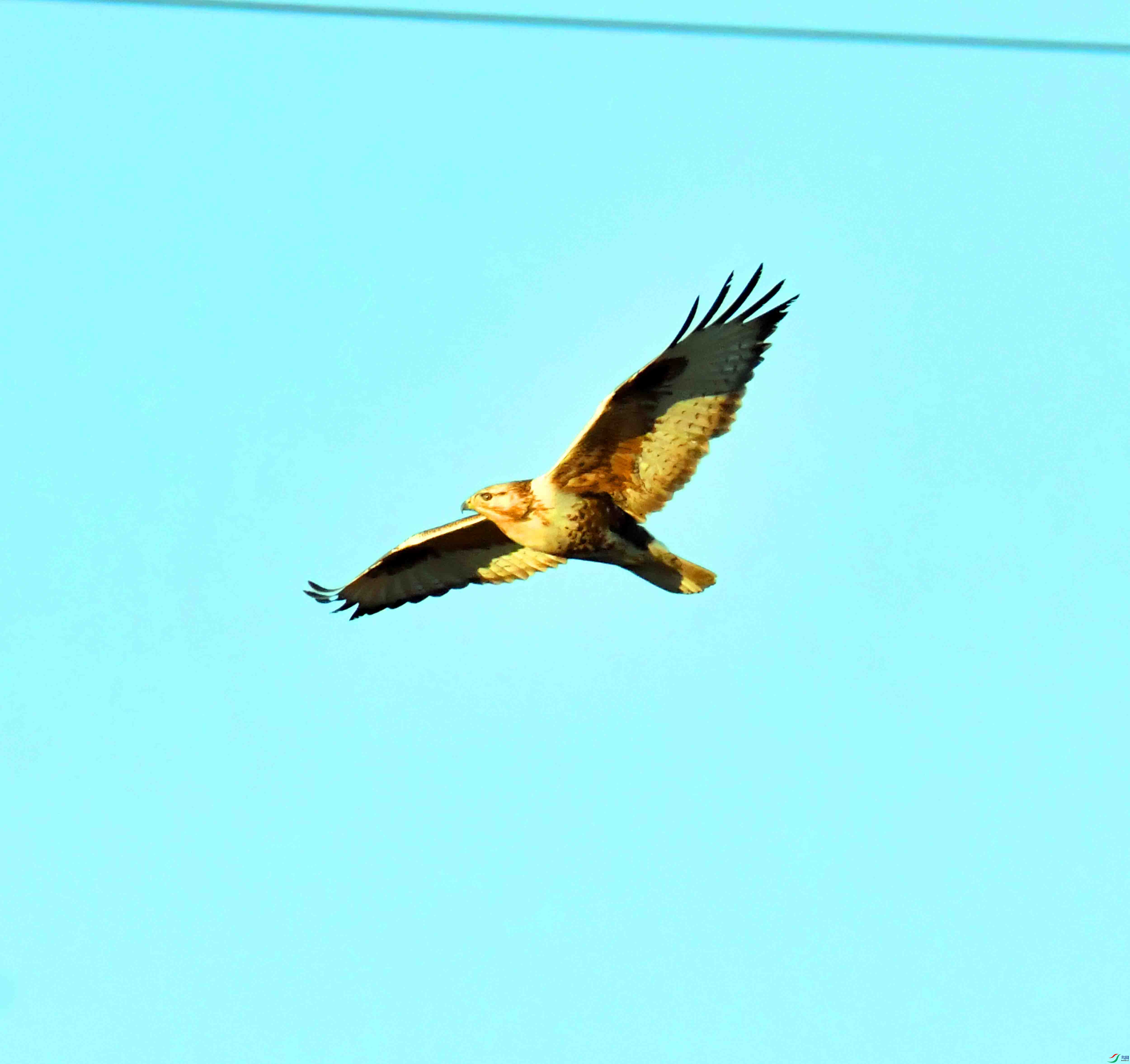 DSC_0332.JPG