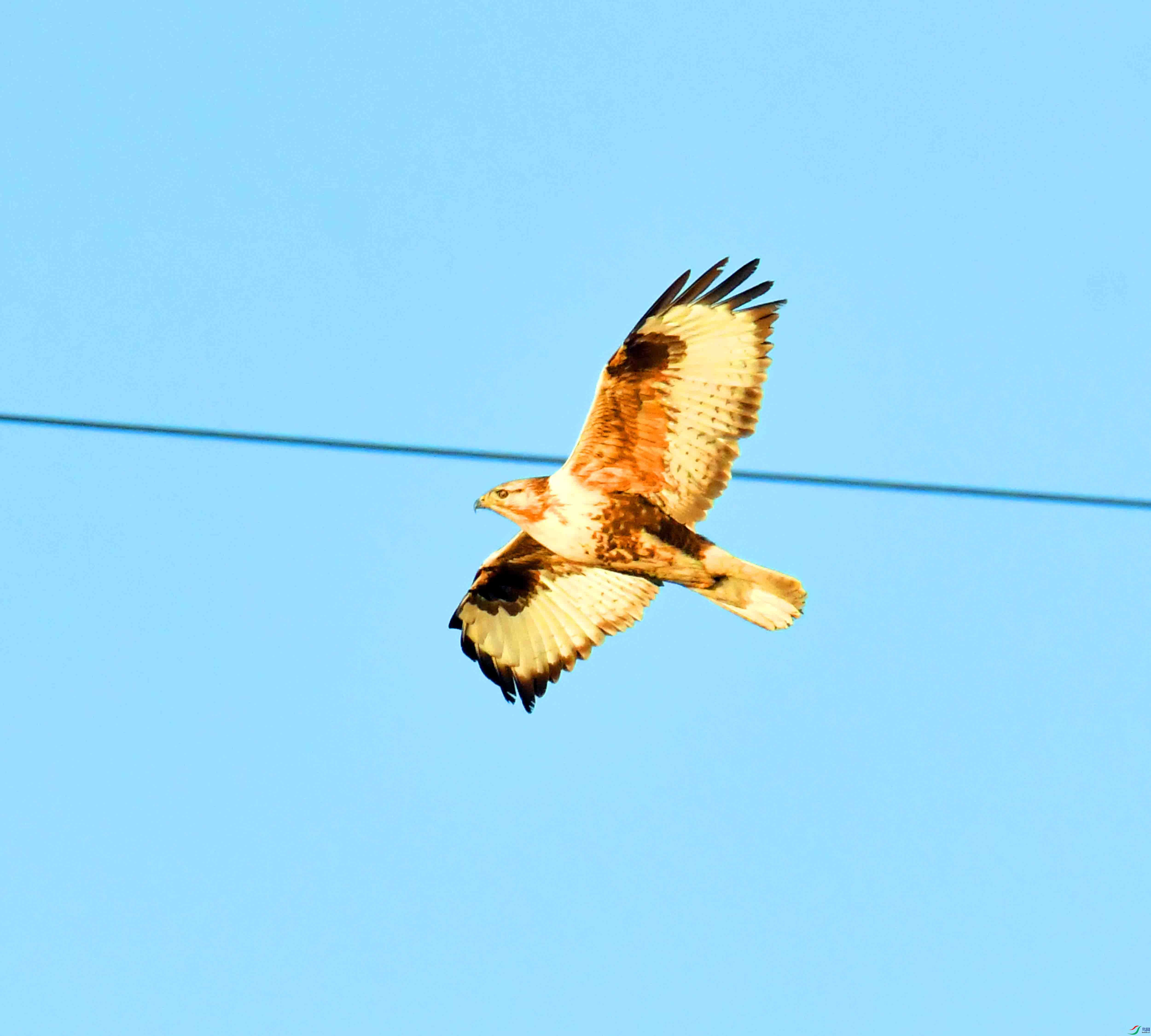 DSC_0334.JPG