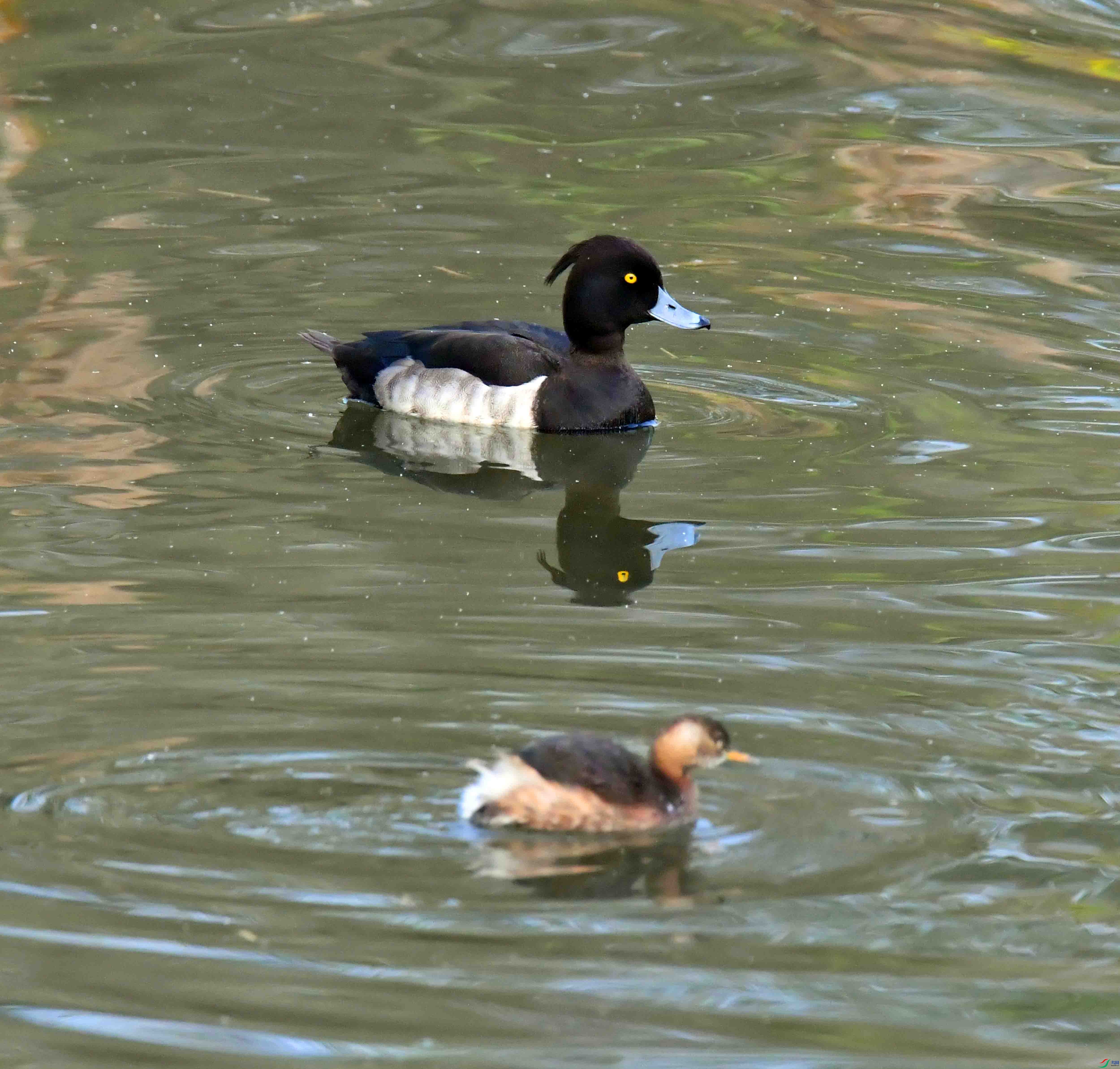 DSC_3653.JPG