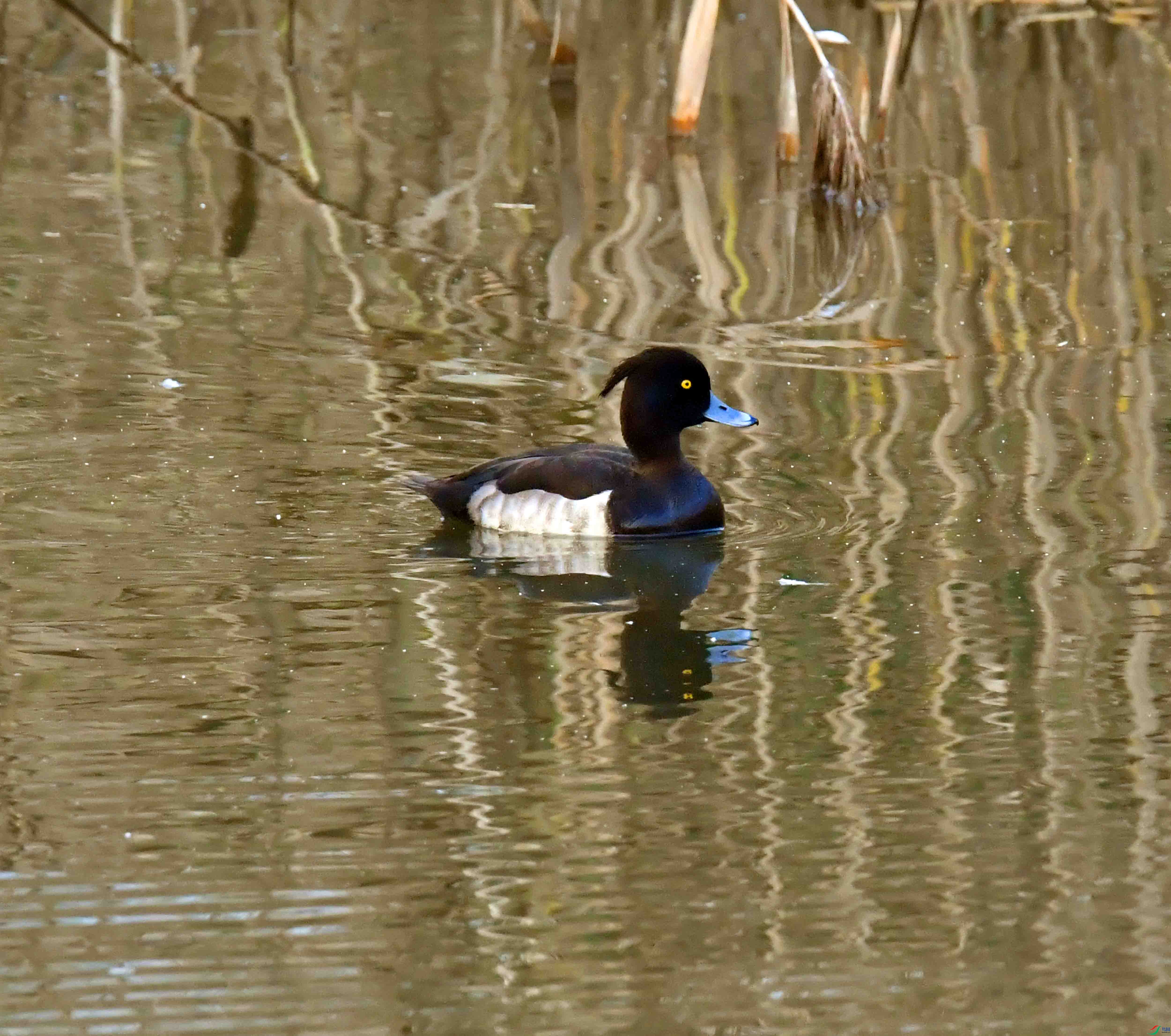 DSC_3670.JPG