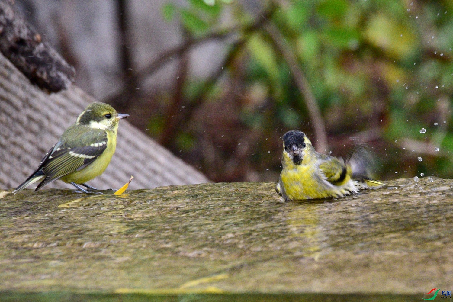 DSC_6712.JPG