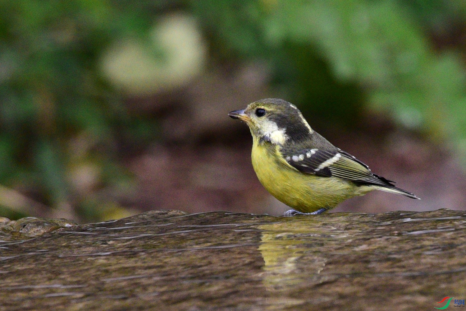 DSC_6766.JPG