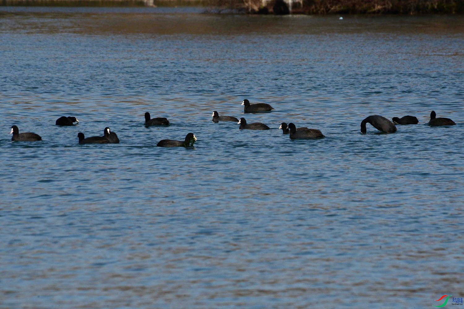 DSC_9775.JPG