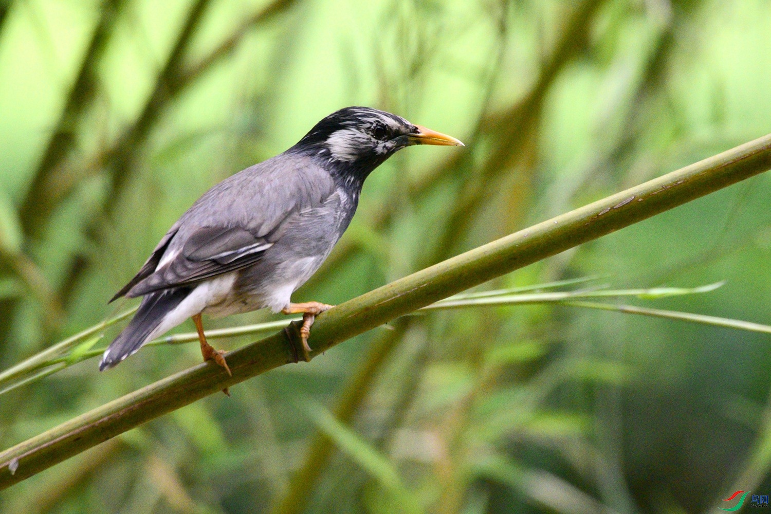 DSC_0584.JPG