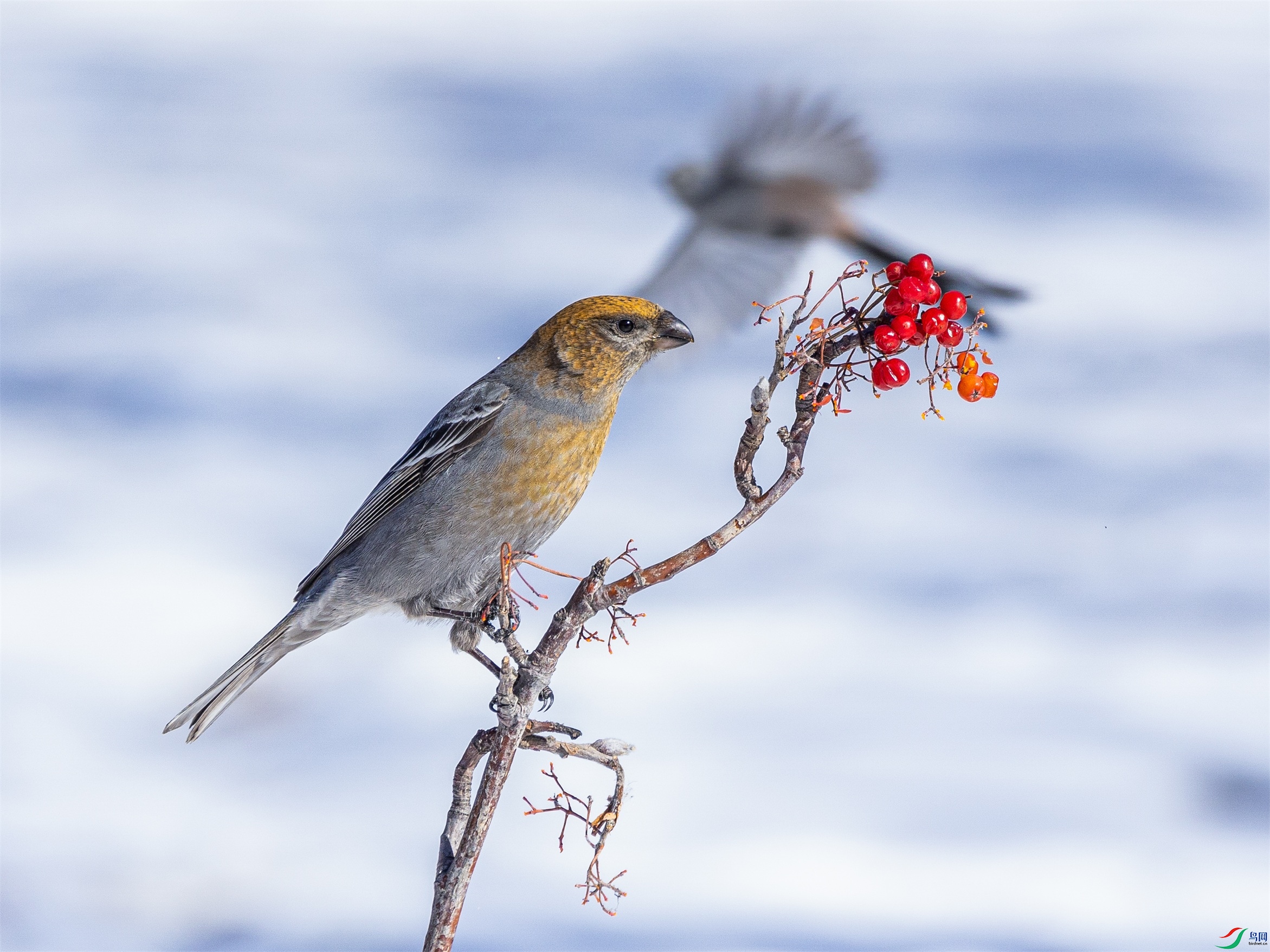 1K3A4685 ����1.jpg