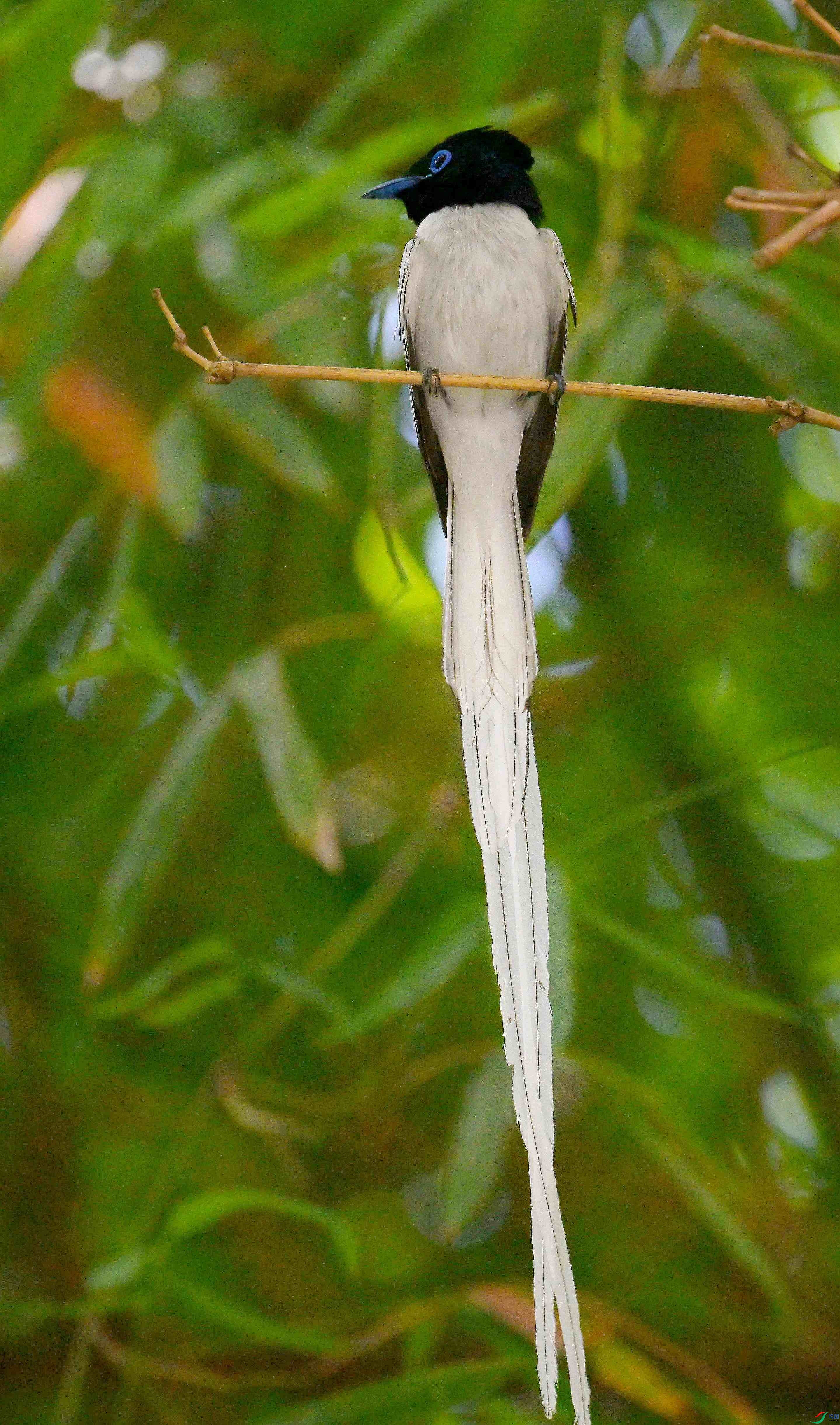 DSC_4757.jpg