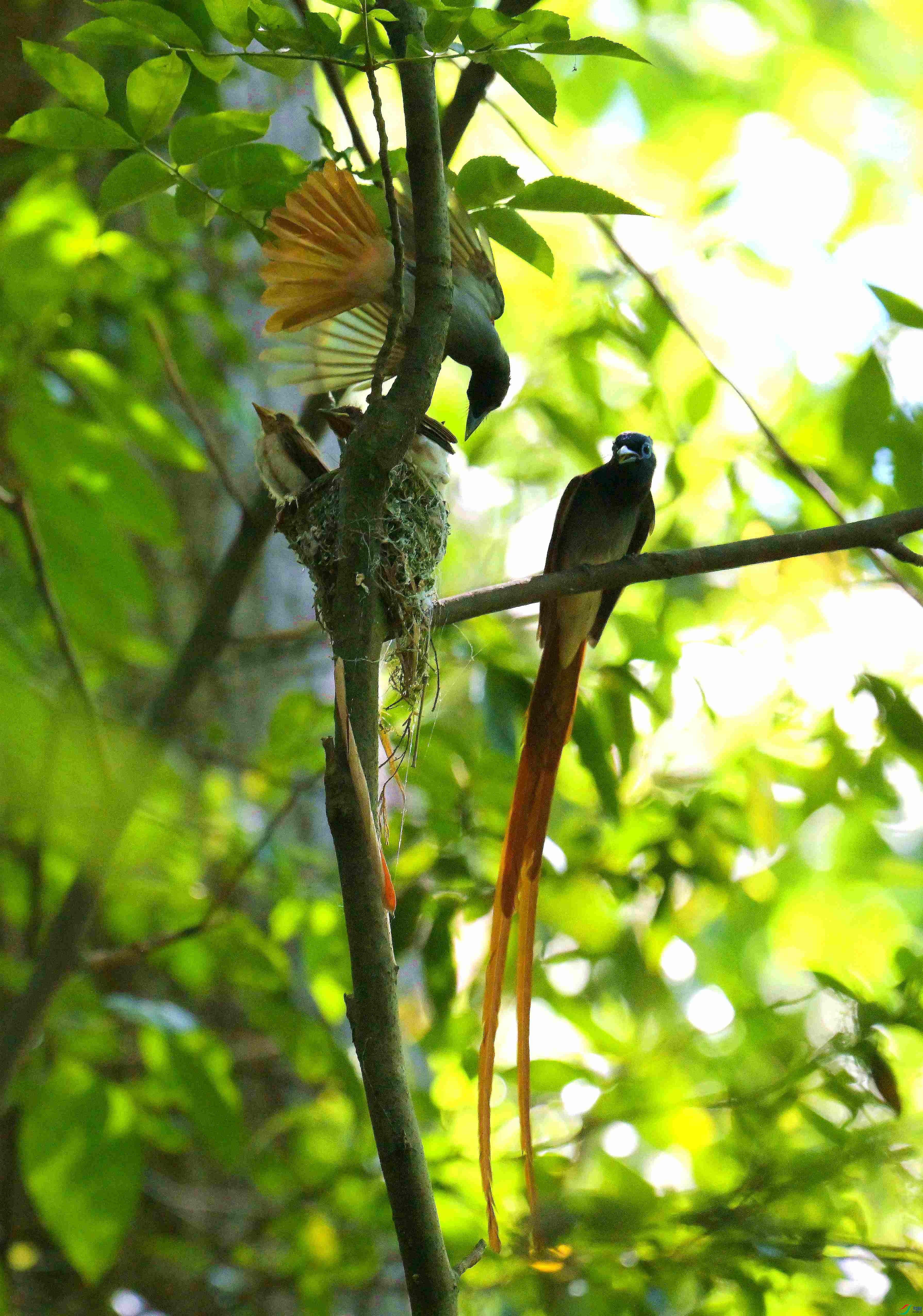 DSC_6268.jpg